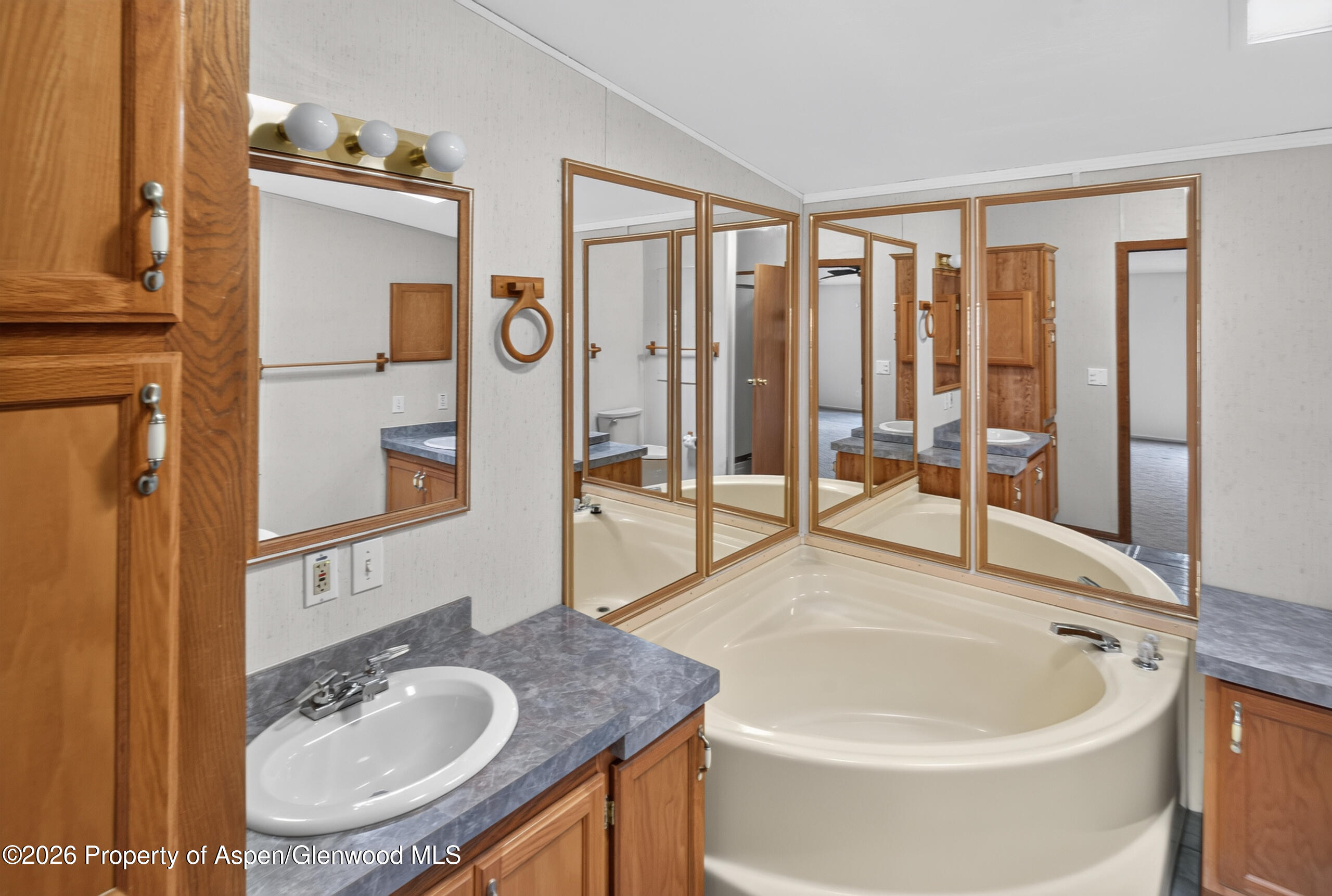 307 E Tamarack Circle Parachute CO 81635