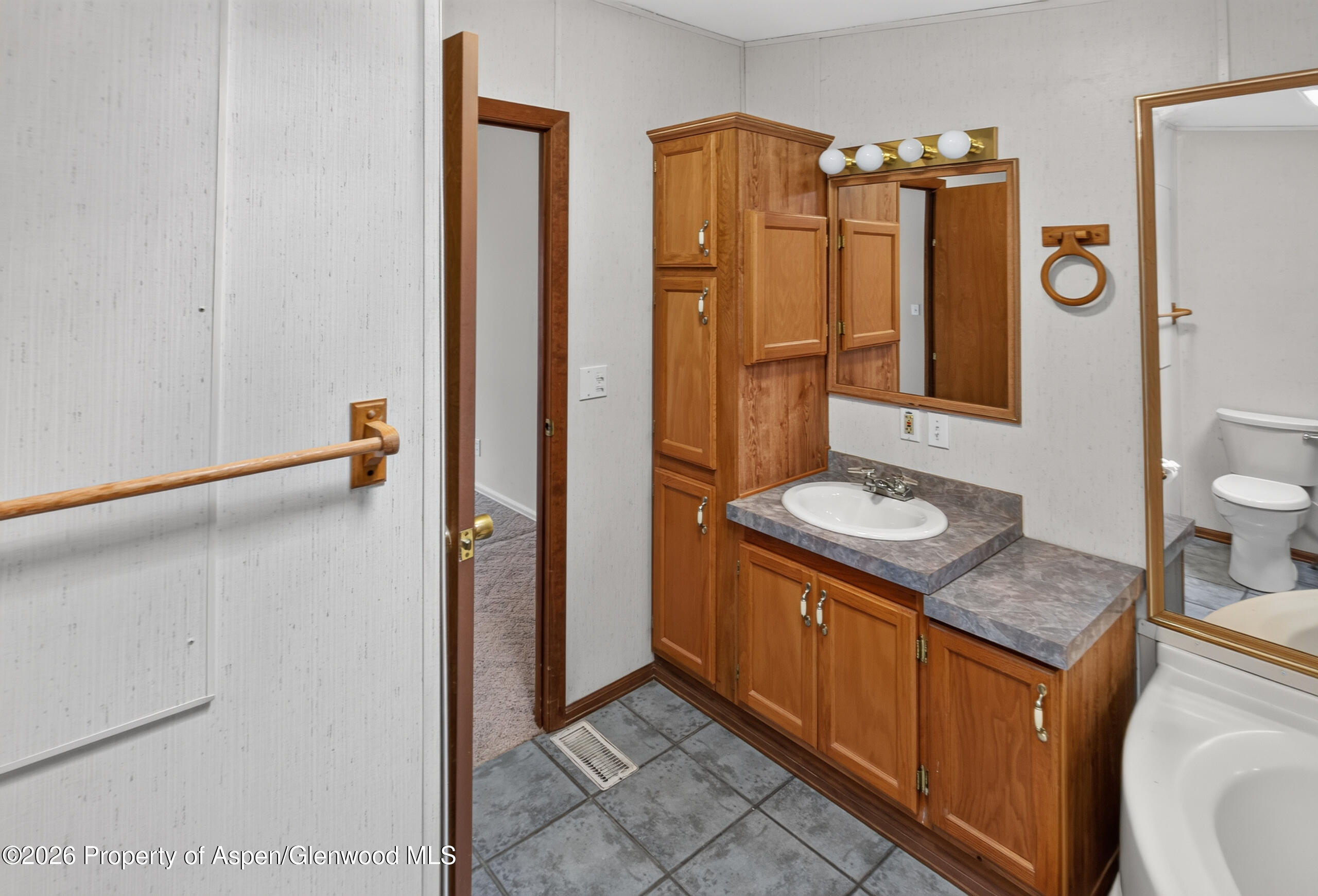 307 E Tamarack Circle Parachute CO 81635