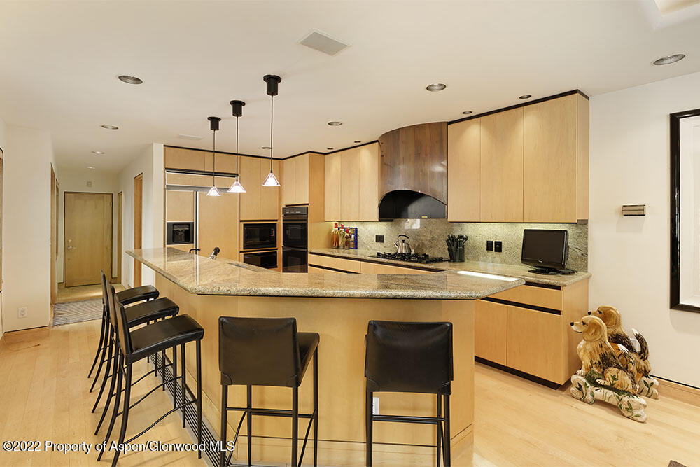 530 W Francis Street Aspen CO 81611