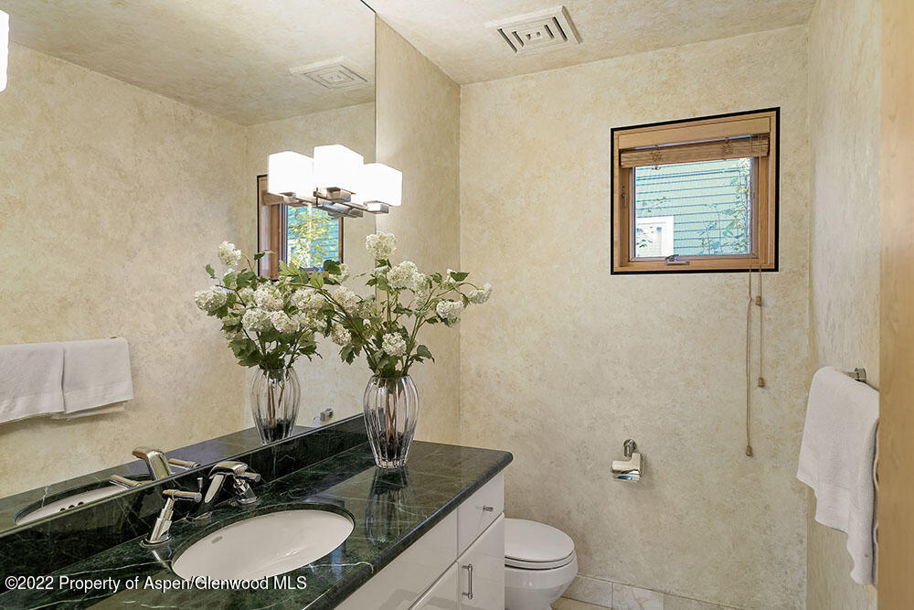 530 W Francis Street Aspen CO 81611