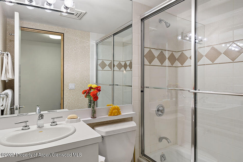 530 W Francis Street Aspen CO 81611