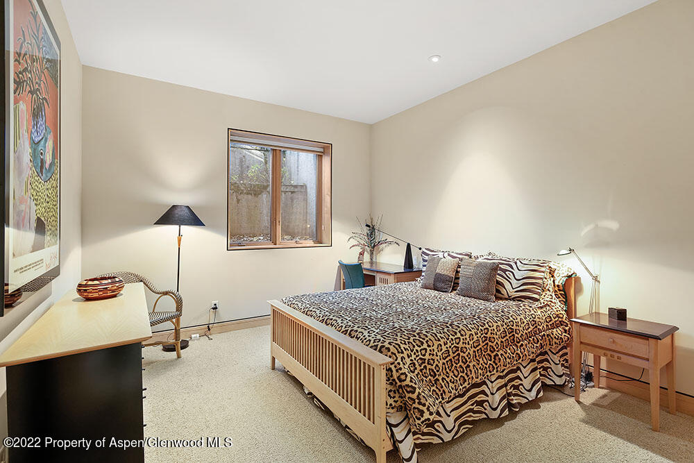 530 W Francis Street Aspen CO 81611