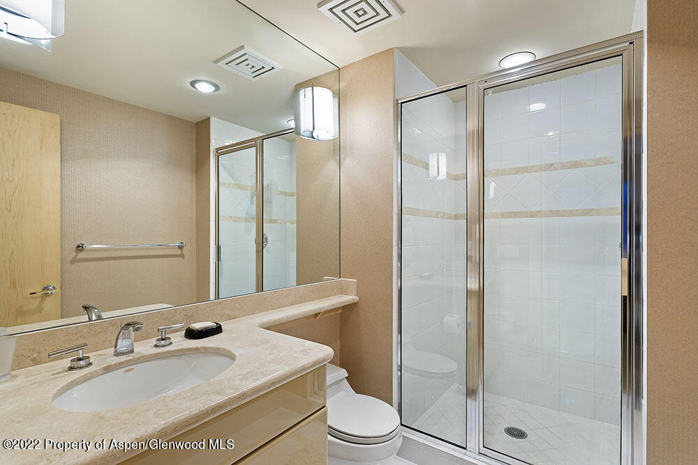 530 W Francis Street Aspen CO 81611