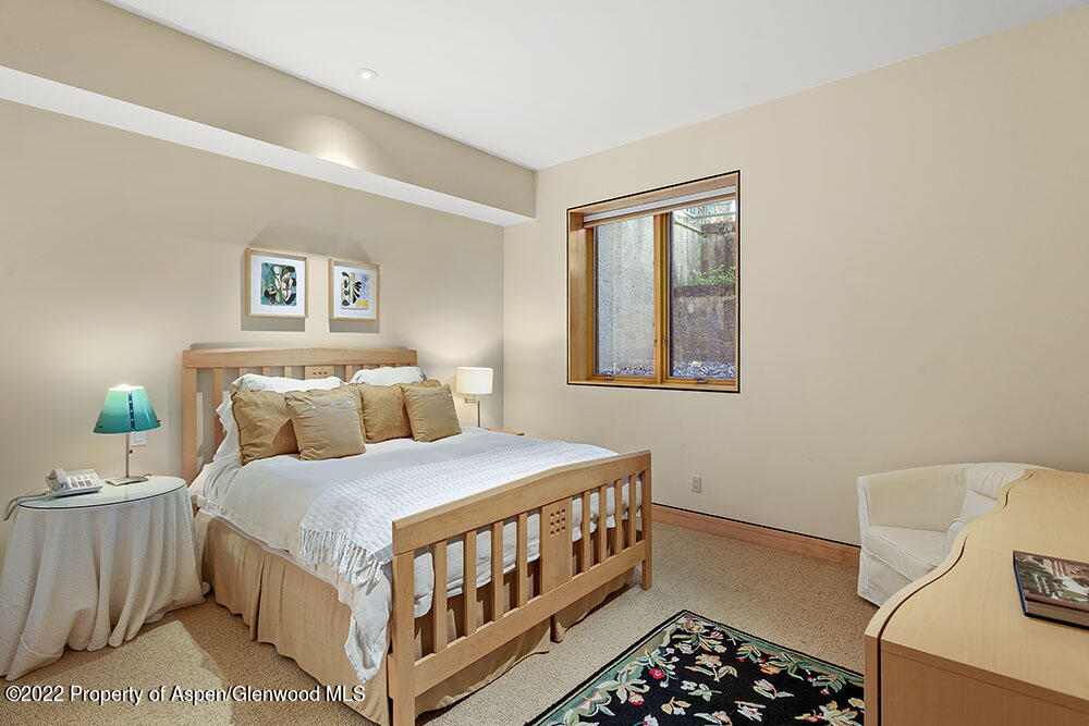 530 W Francis Street Aspen CO 81611