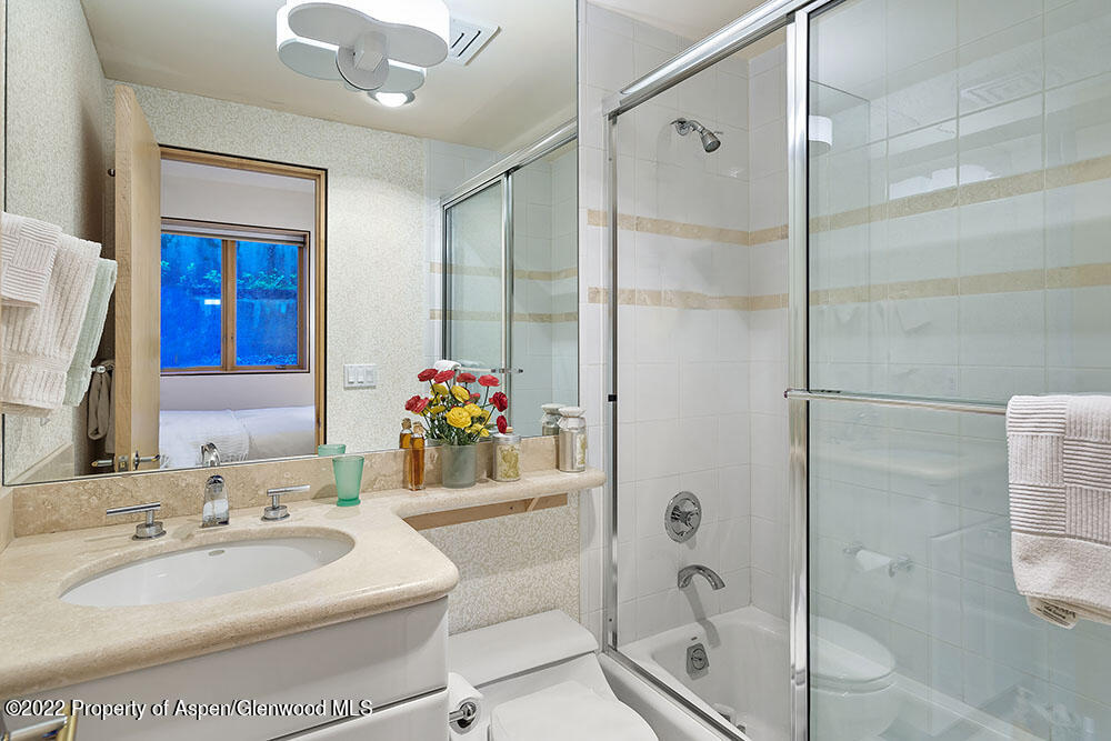 530 W Francis Street Aspen CO 81611