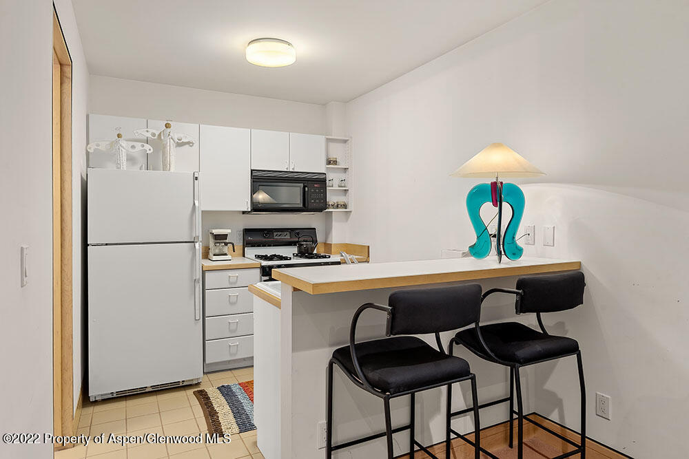 530 W Francis Street Aspen CO 81611