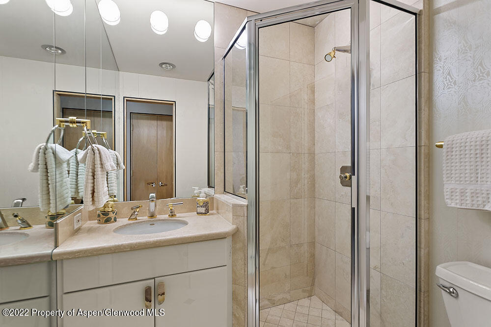 530 W Francis Street Aspen CO 81611