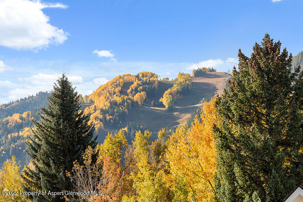 530 W Francis Street Aspen CO 81611