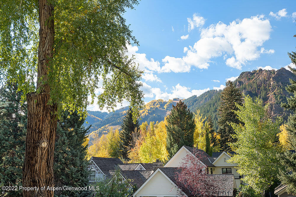 530 W Francis Street Aspen CO 81611