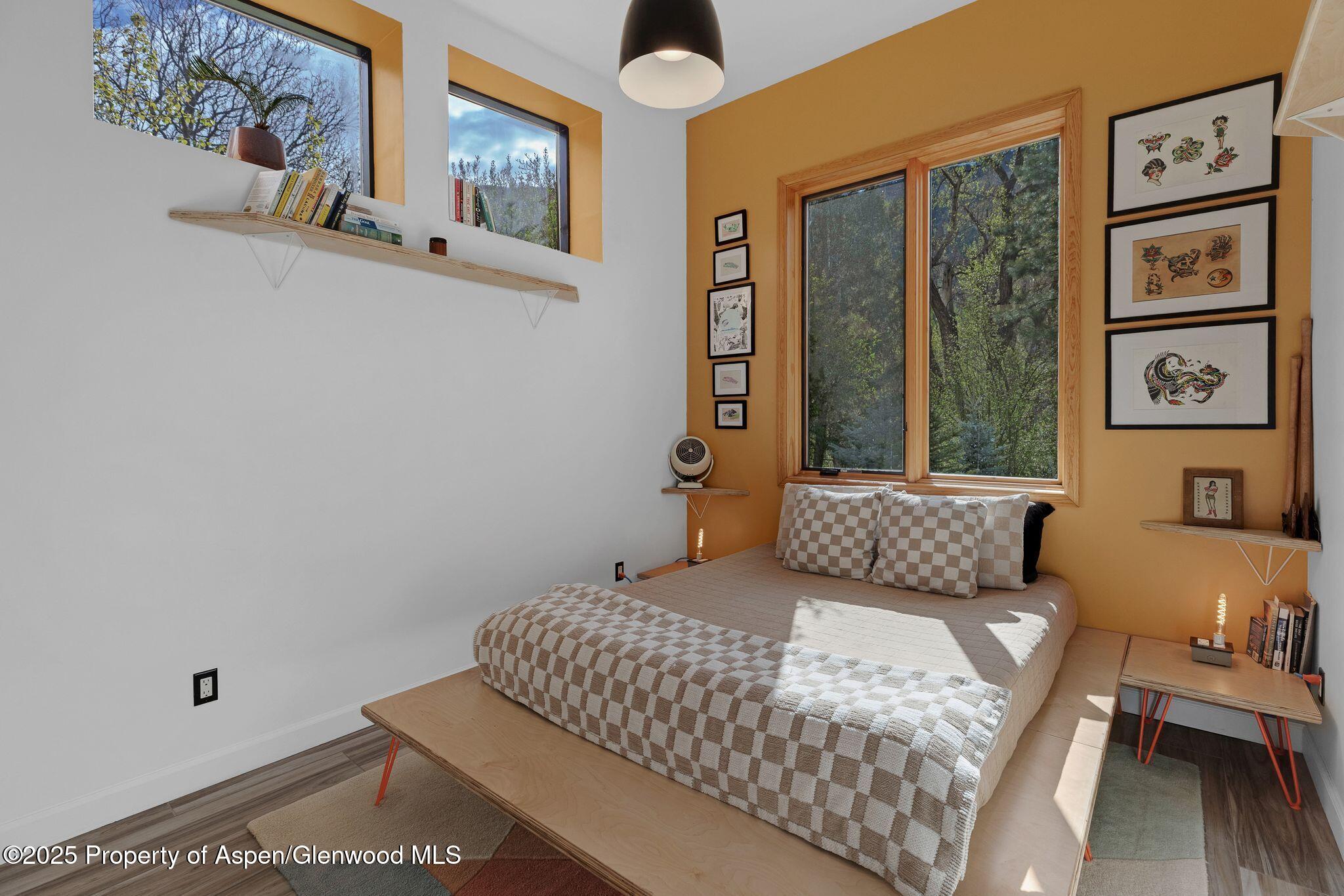 103 Trout Run Drive Redstone CO 81623