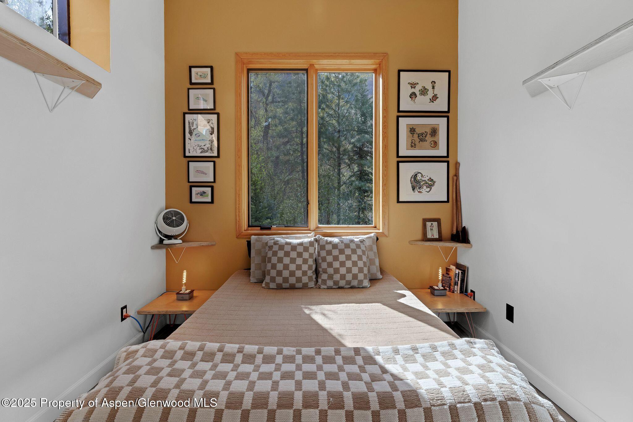 103 Trout Run Drive Redstone CO 81623