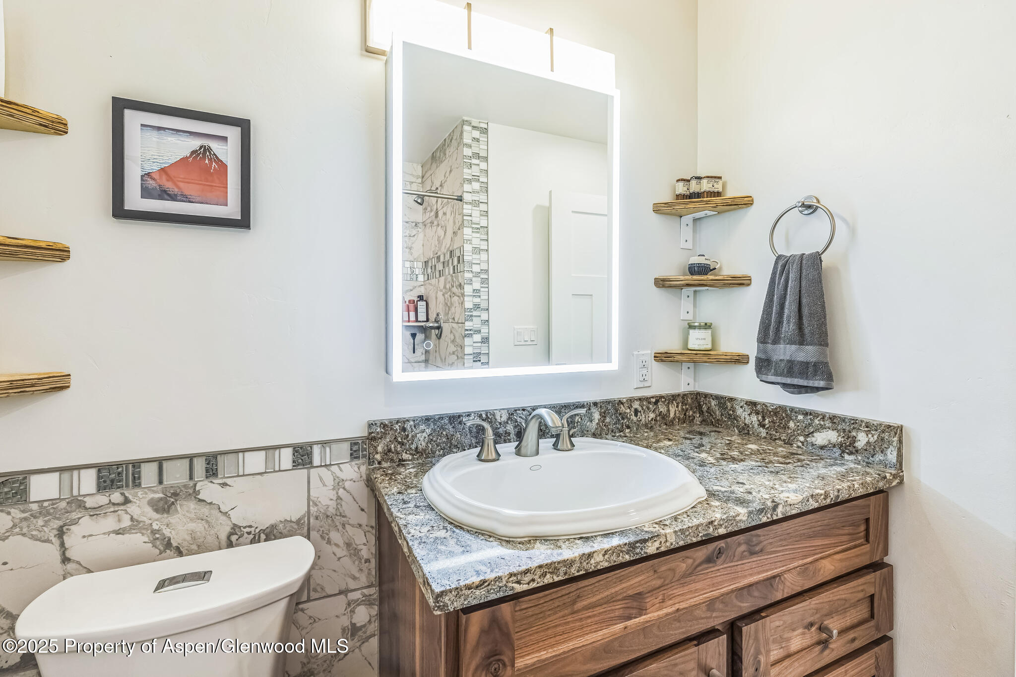 103 Trout Run Drive Redstone CO 81623