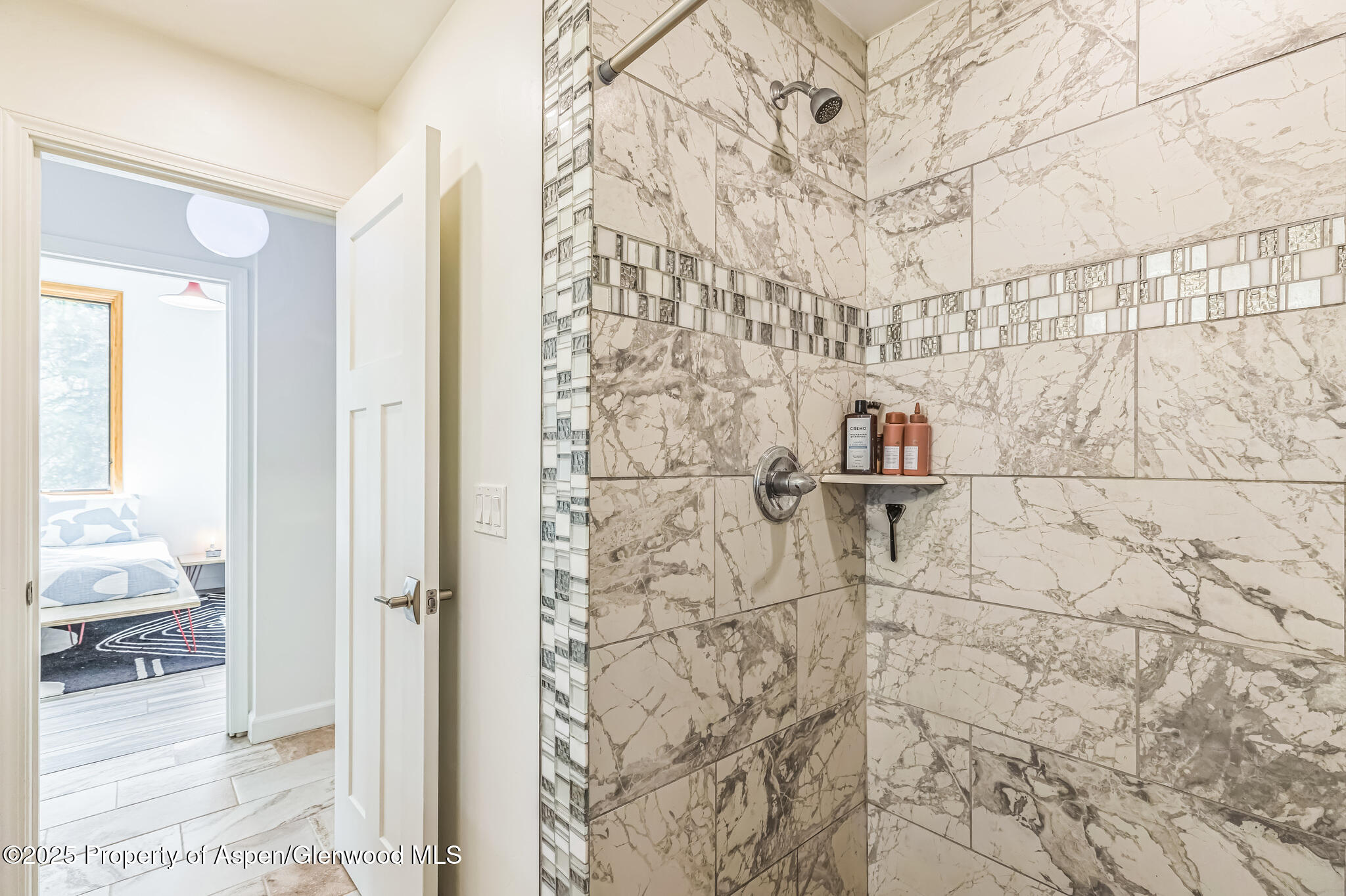 103 Trout Run Drive Redstone CO 81623