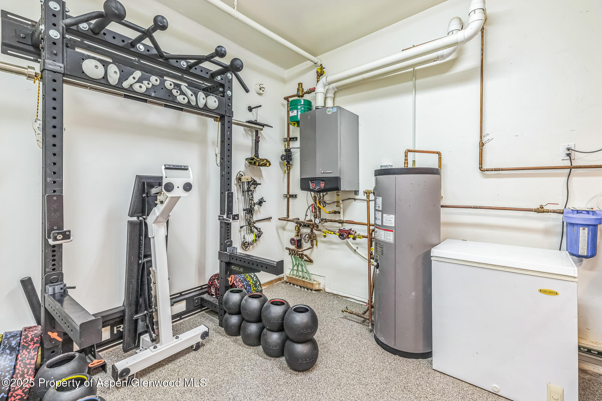 103 Trout Run Drive Redstone CO 81623