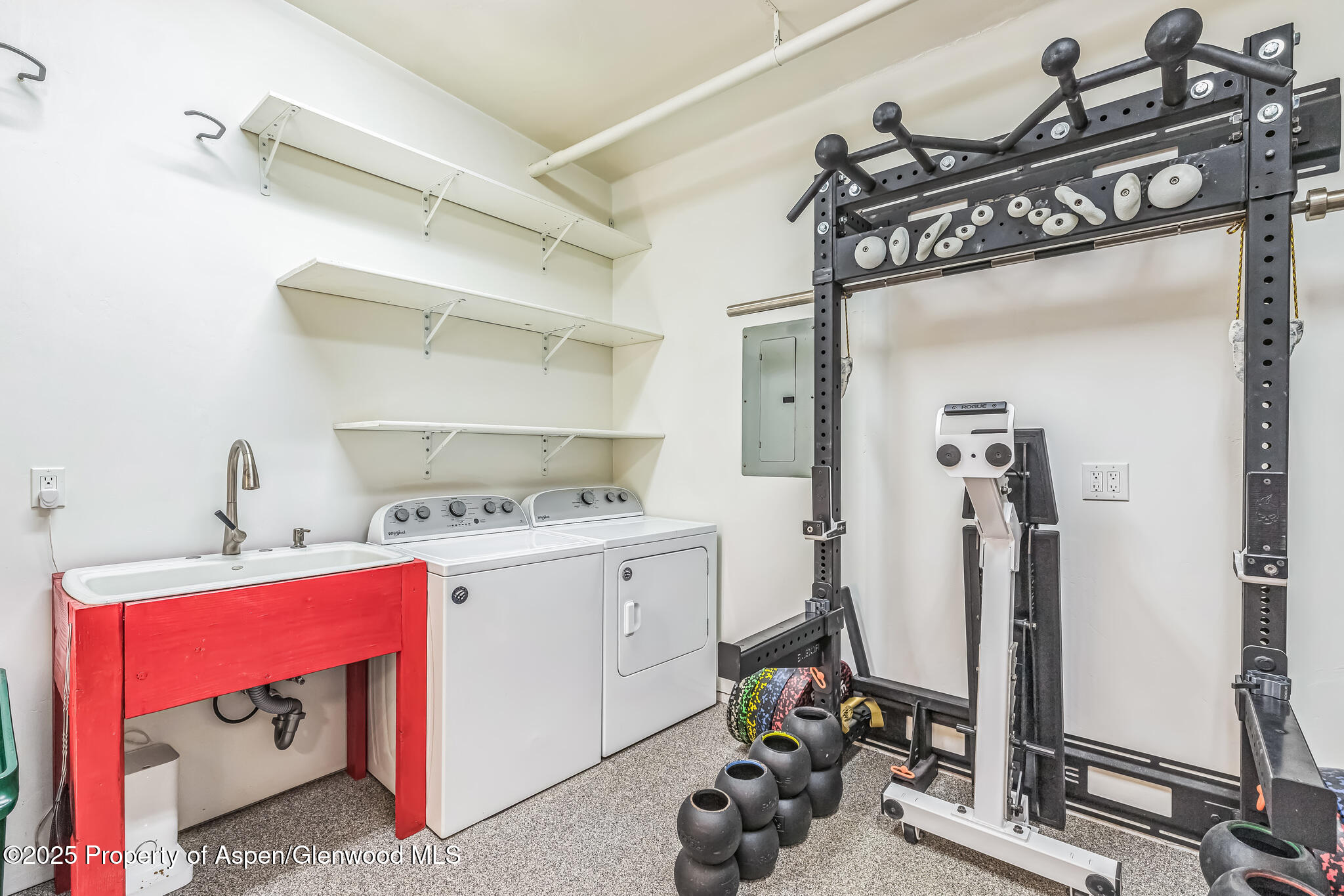 103 Trout Run Drive Redstone CO 81623