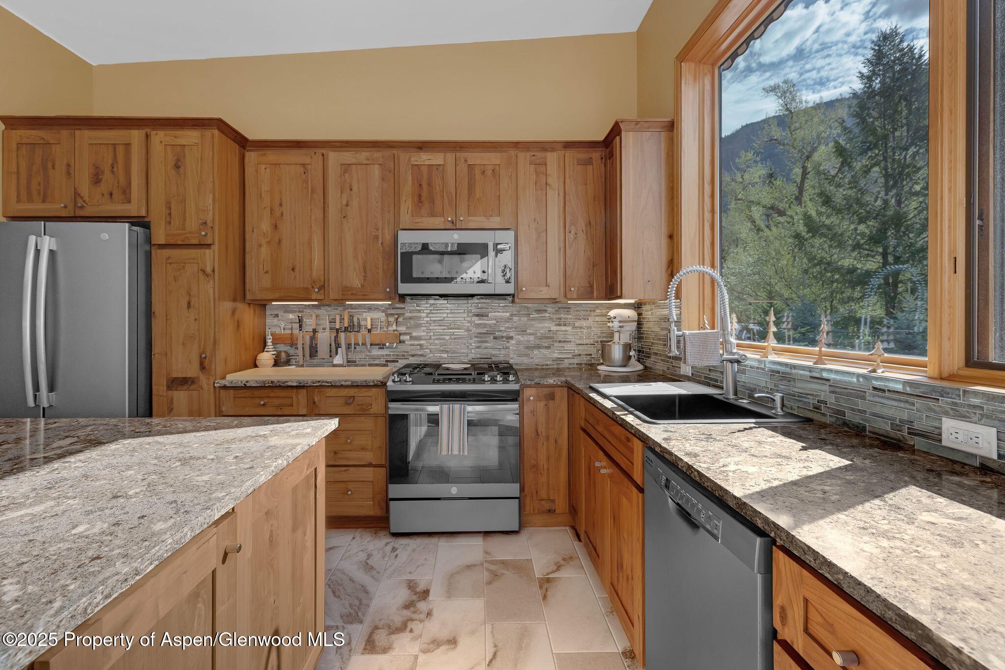 103 Trout Run Drive Redstone CO 81623