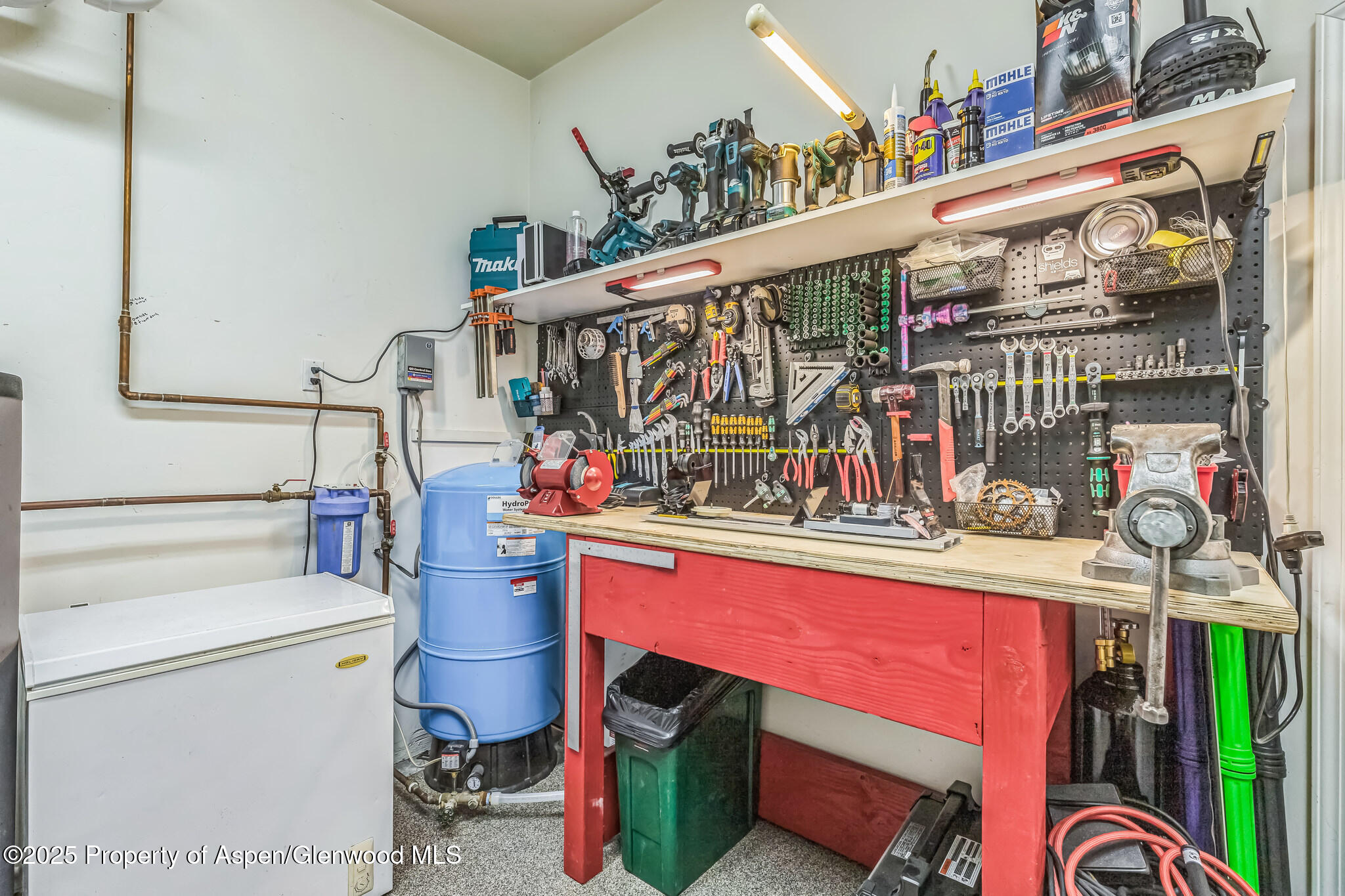 103 Trout Run Drive Redstone CO 81623