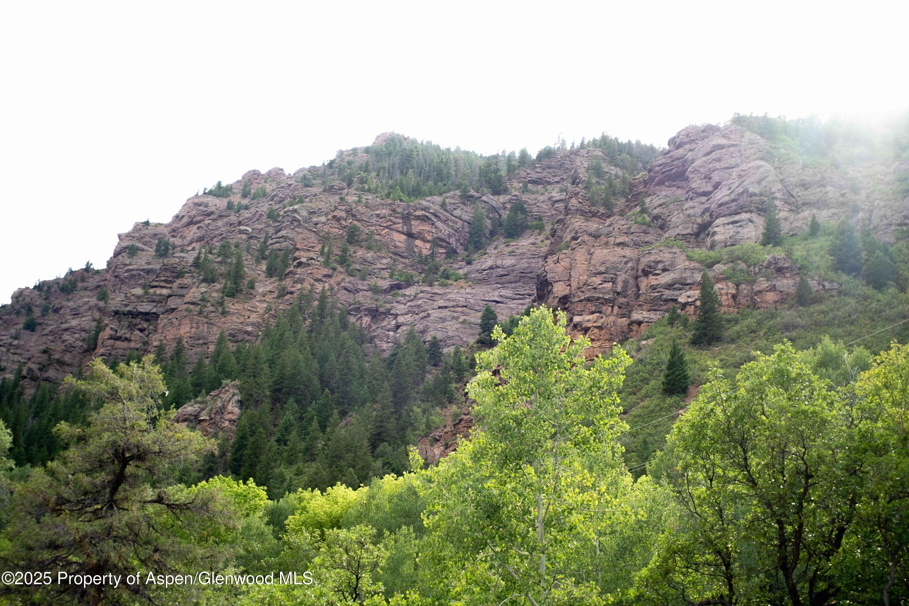 103 Trout Run Drive Redstone CO 81623