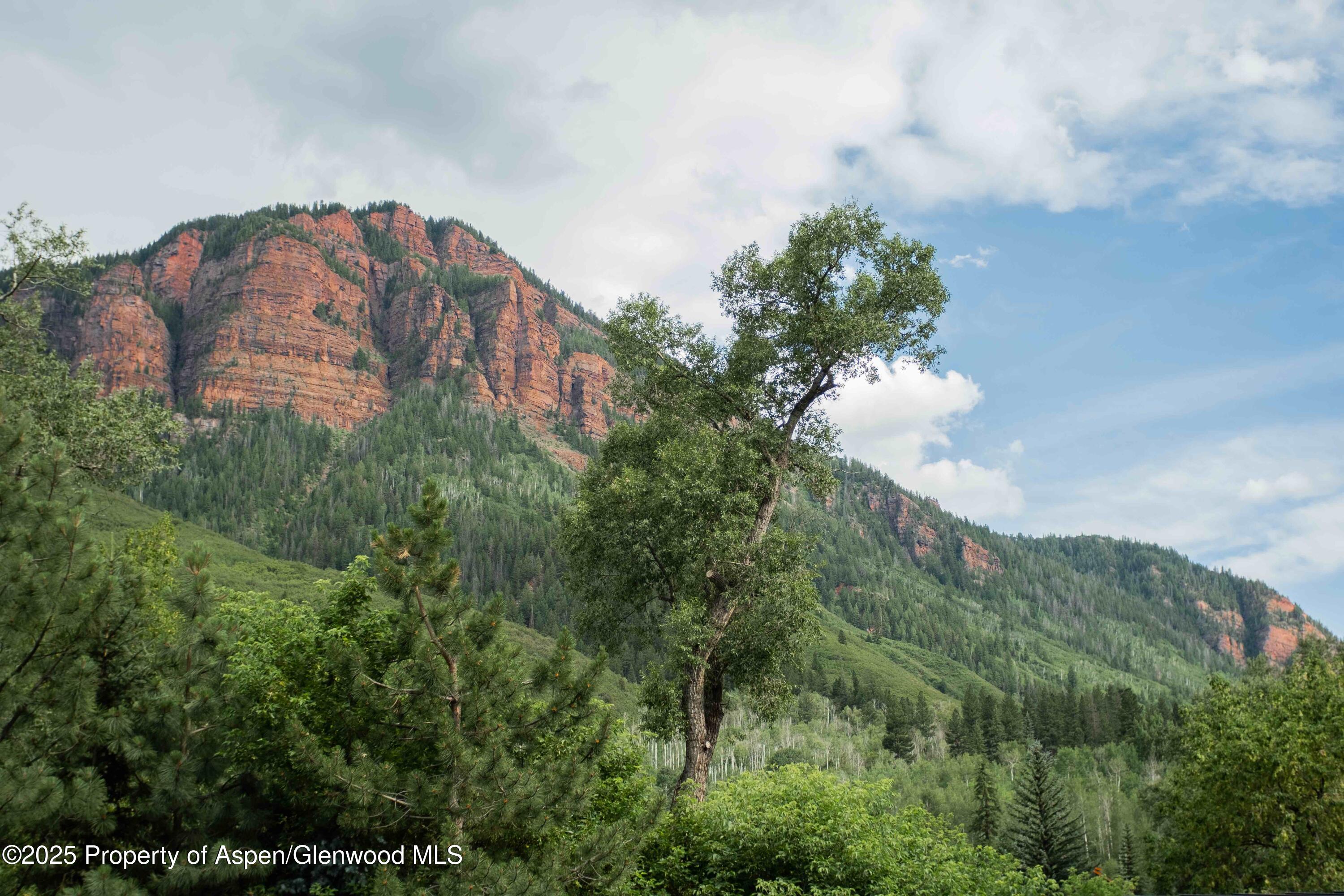 103 Trout Run Drive Redstone CO 81623