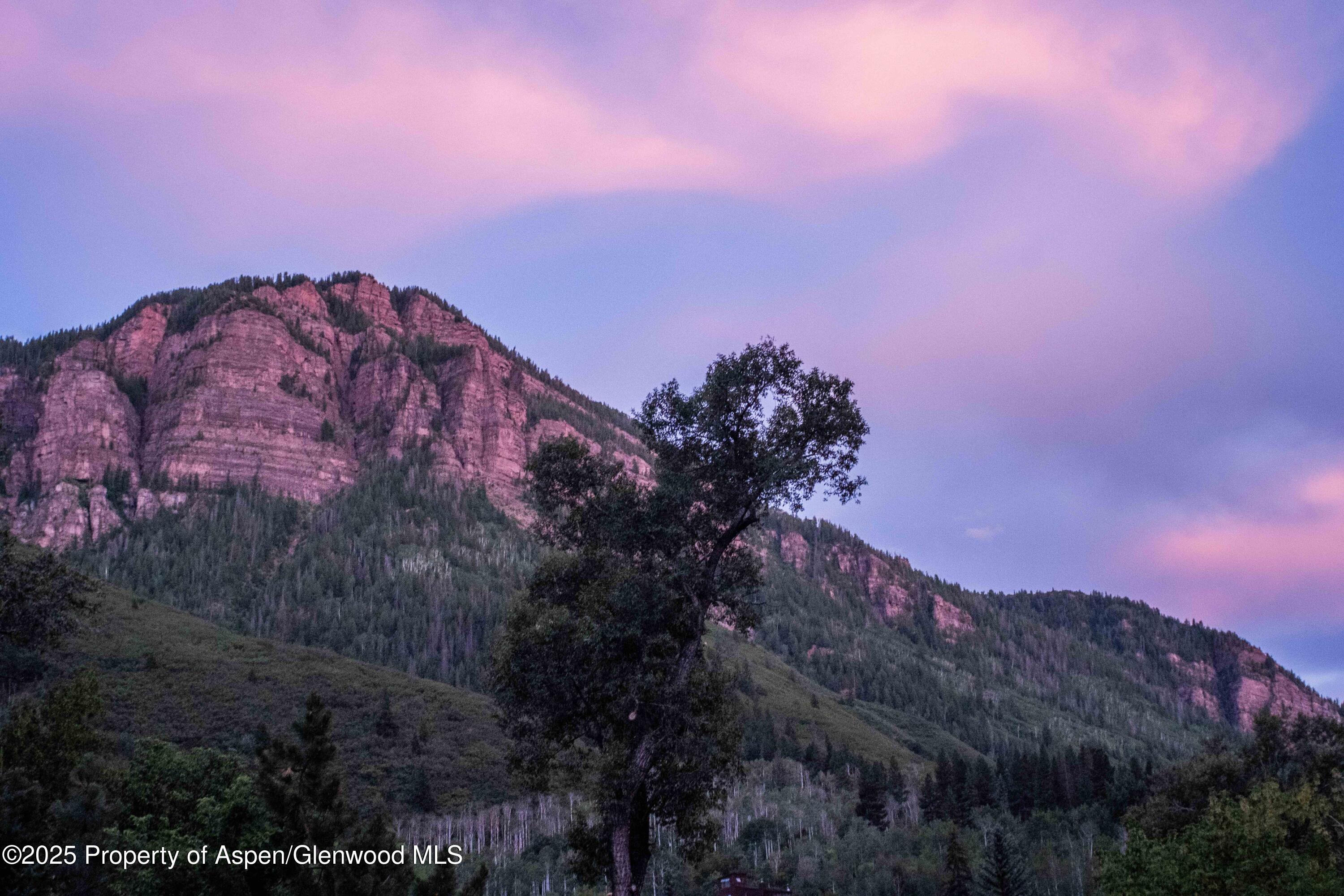 103 Trout Run Drive Redstone CO 81623