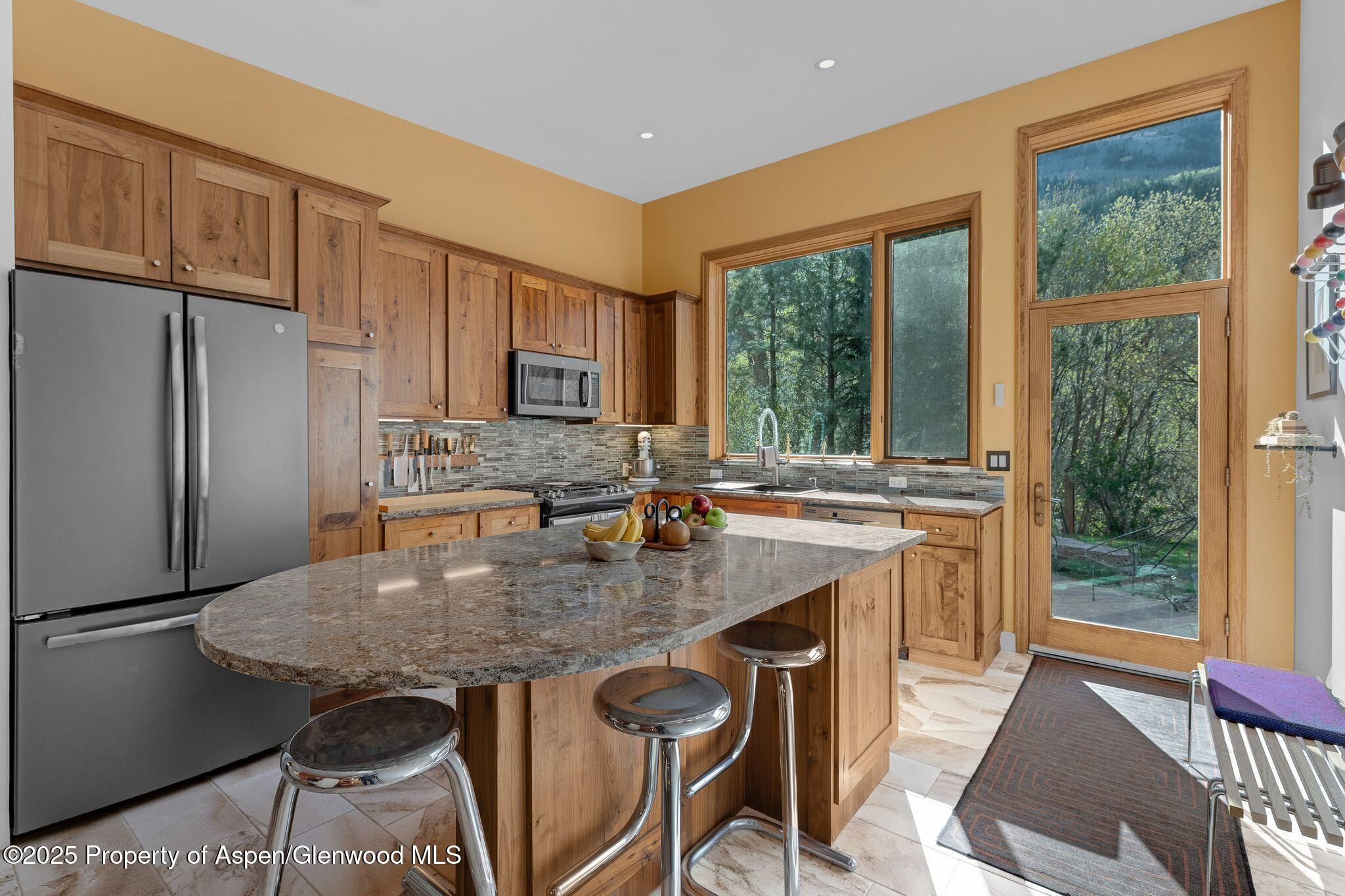 103 Trout Run Drive Redstone CO 81623