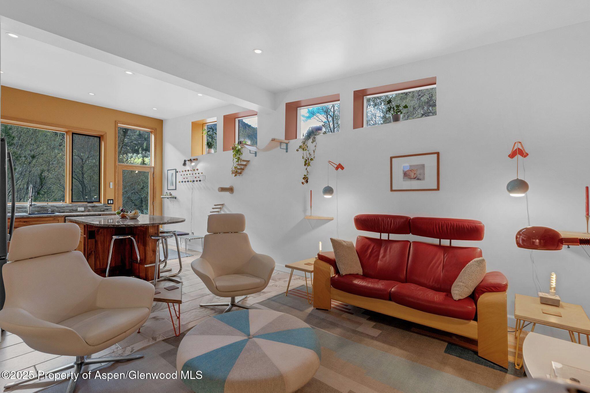 103 Trout Run Drive Redstone CO 81623