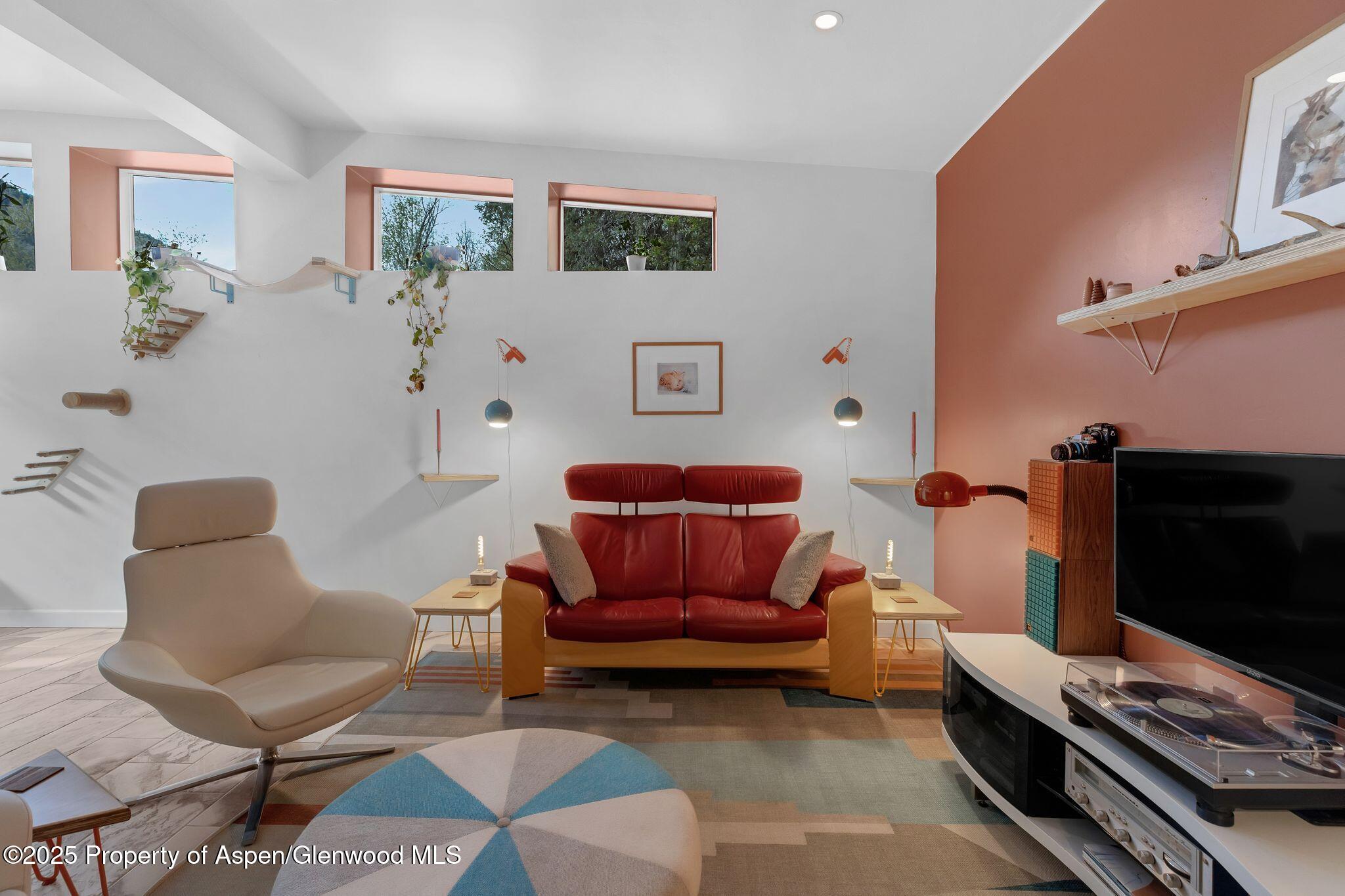 103 Trout Run Drive Redstone CO 81623