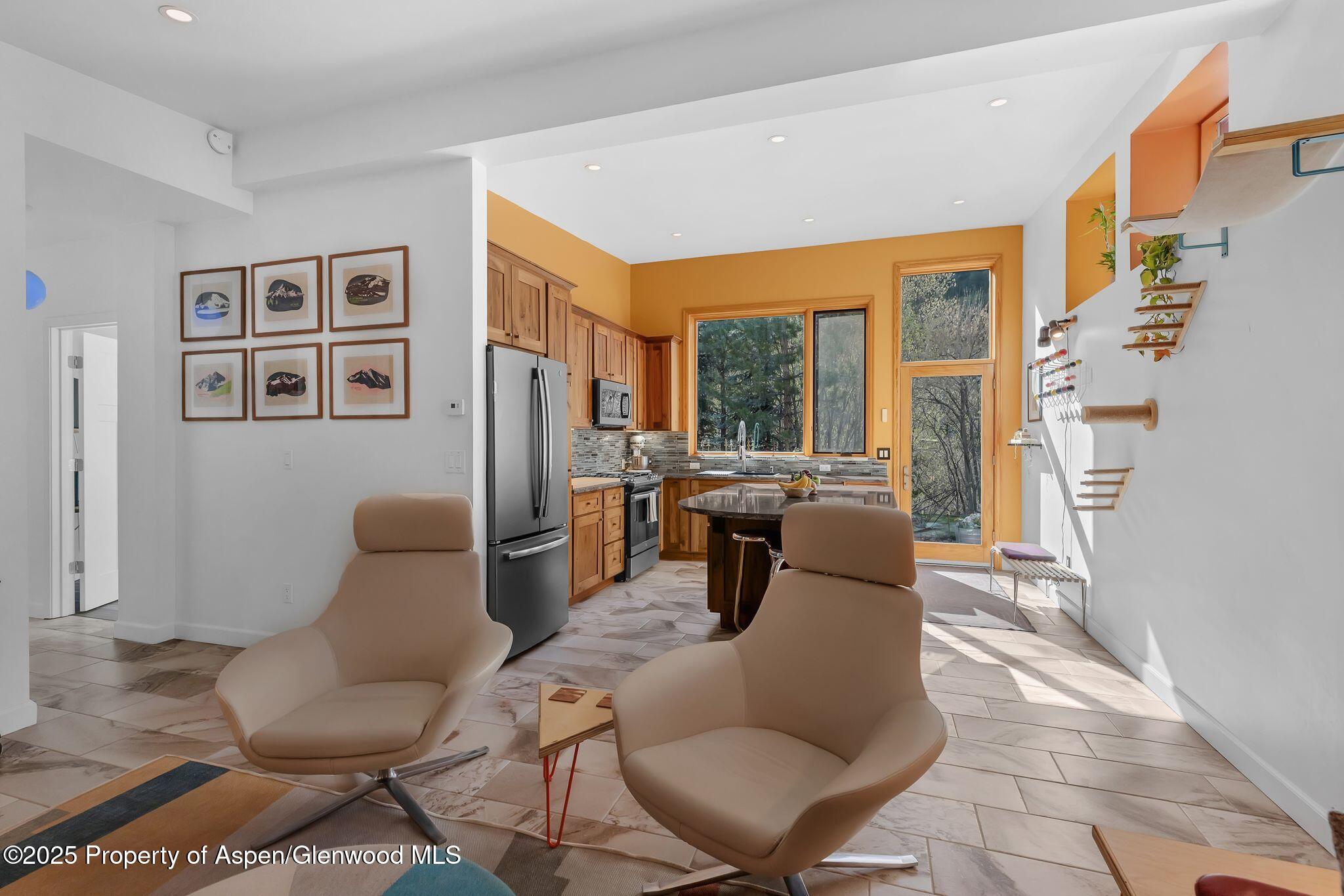 103 Trout Run Drive Redstone CO 81623