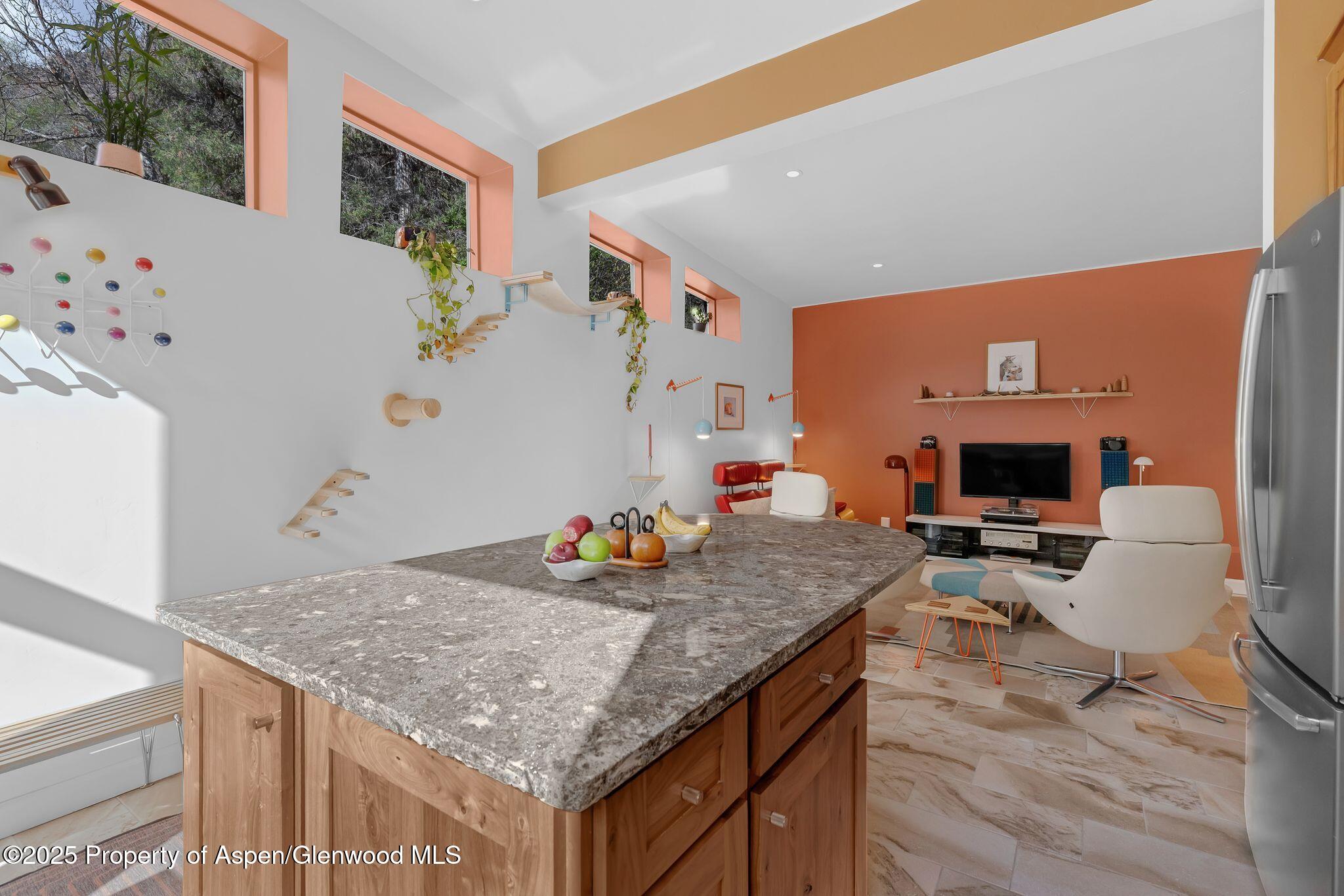 103 Trout Run Drive Redstone CO 81623