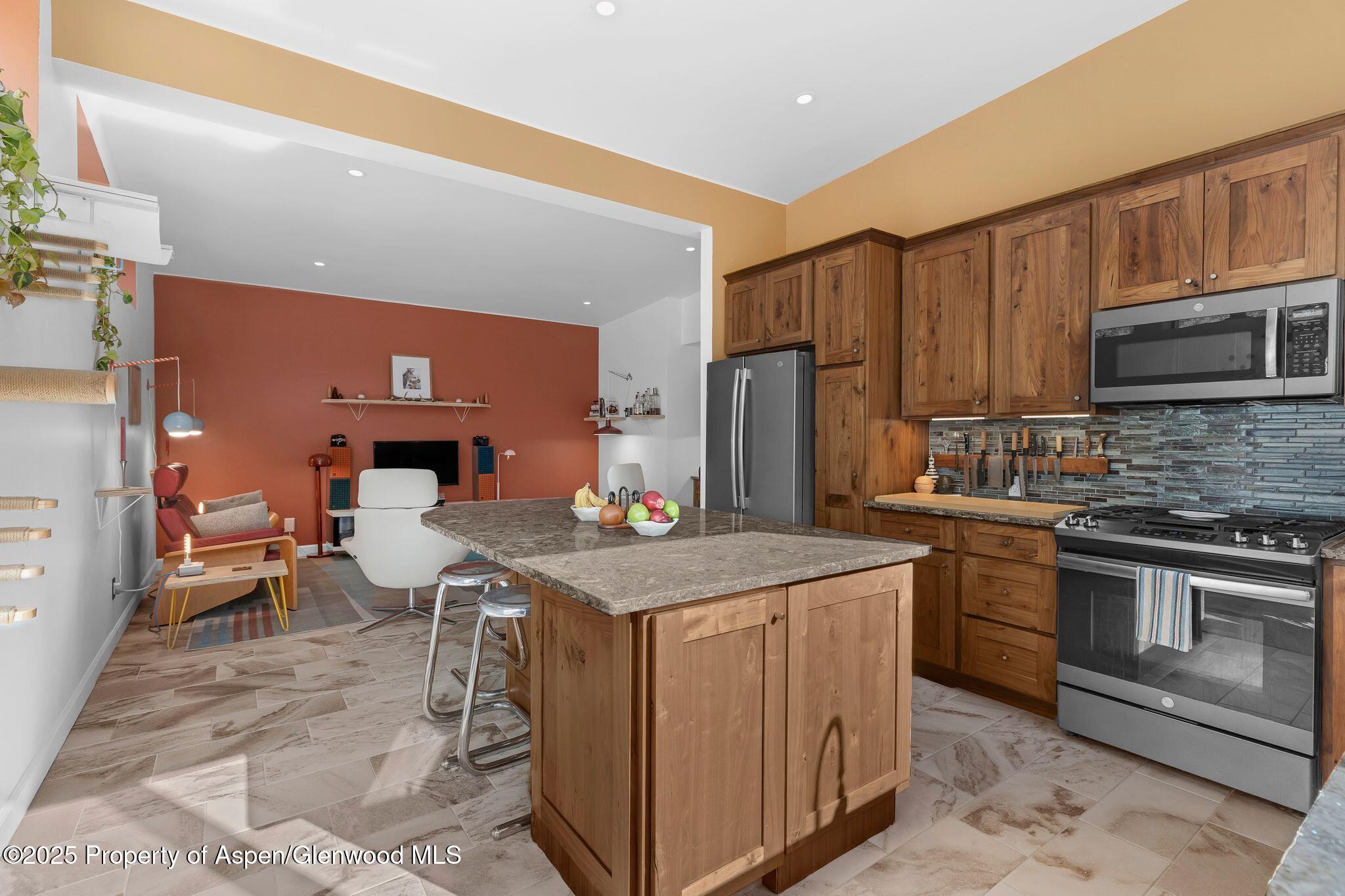 103 Trout Run Drive Redstone CO 81623