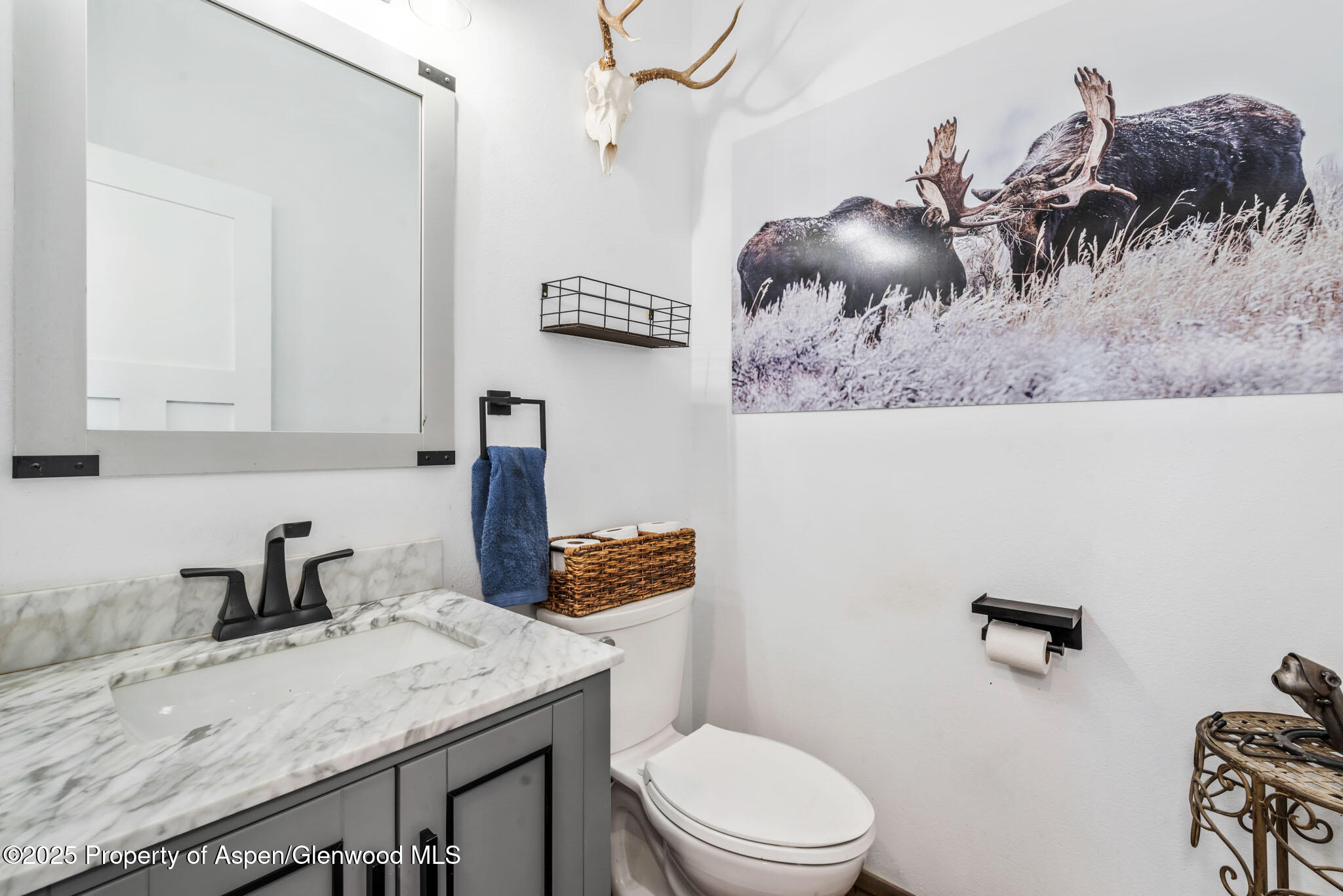 3025 Doe Run Drive Craig CO 81625