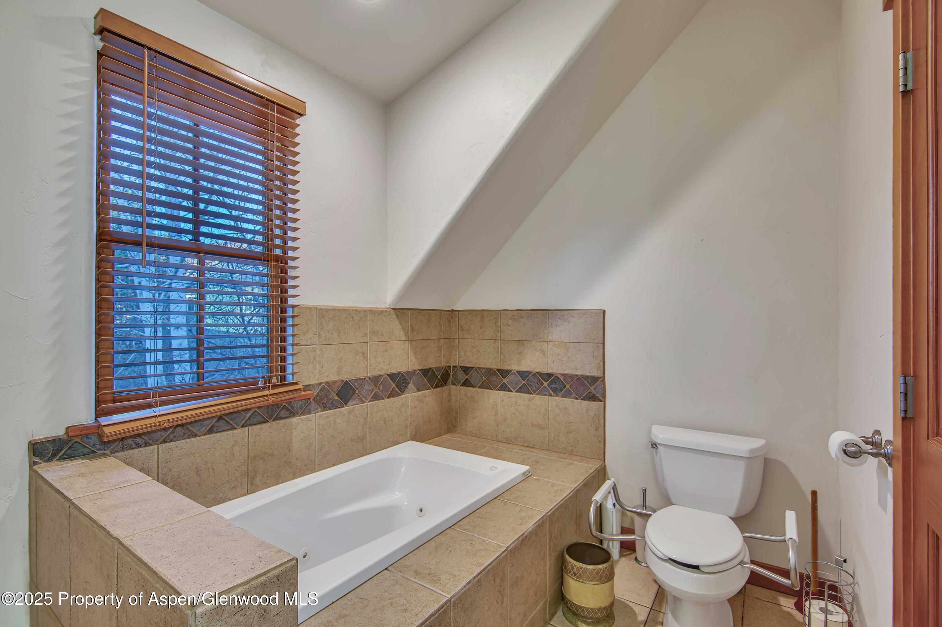 432 Meadow Court Basalt CO 81621