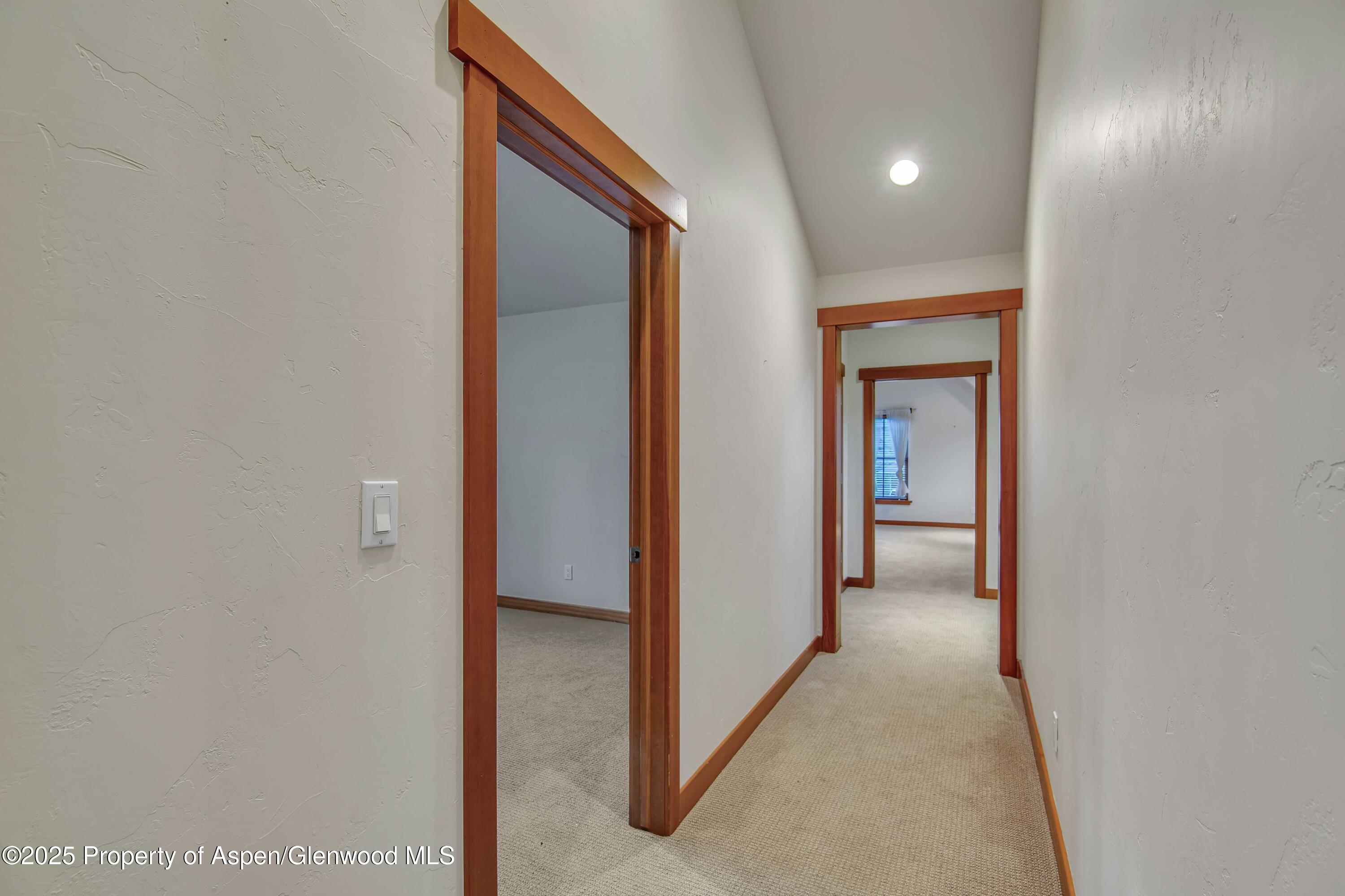 432 Meadow Court Basalt CO 81621