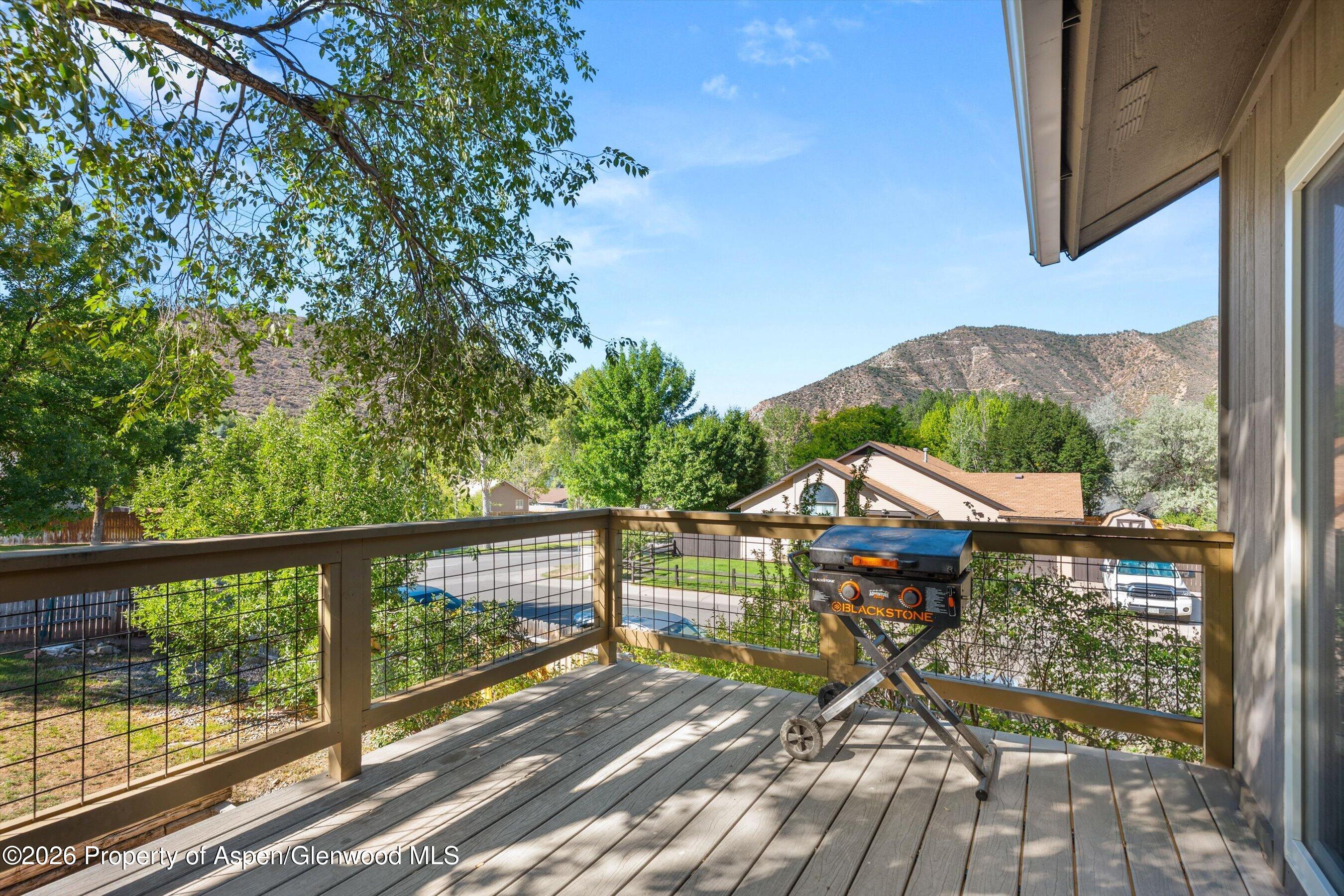 203 Lupine Drive New Castle CO 81647