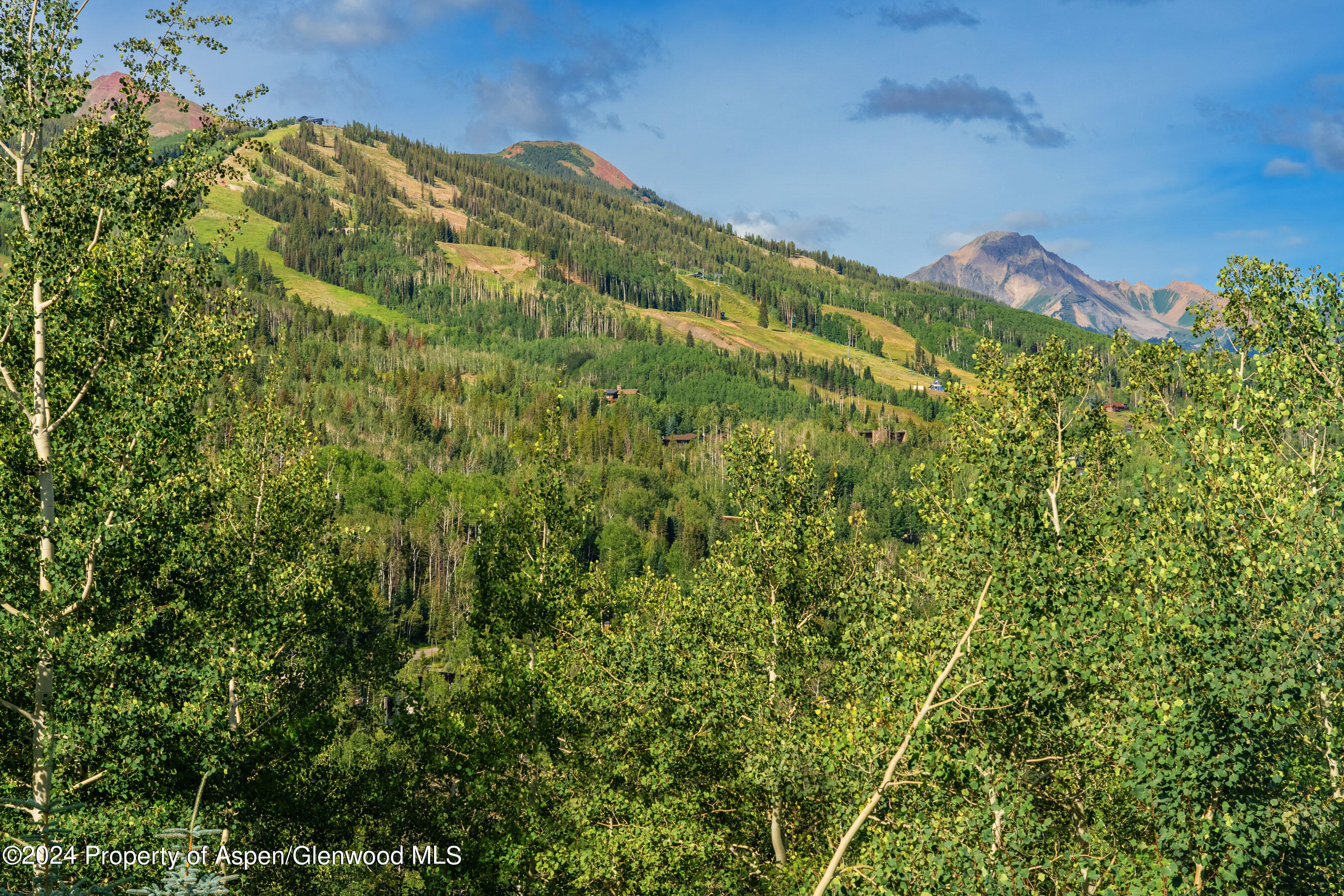 85 Baby Doe Lane Snowmass Village CO 81615