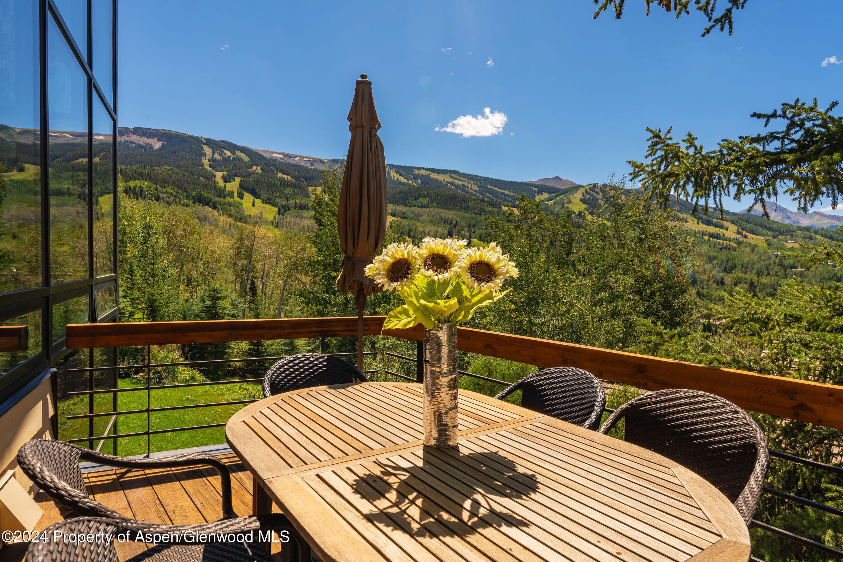 85 Baby Doe Lane Snowmass Village CO 81615