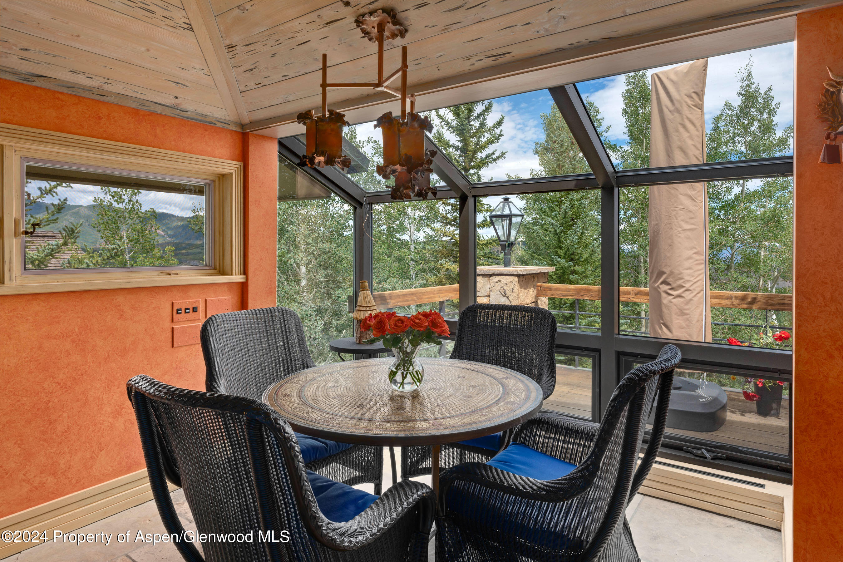 85 Baby Doe Lane Snowmass Village CO 81615