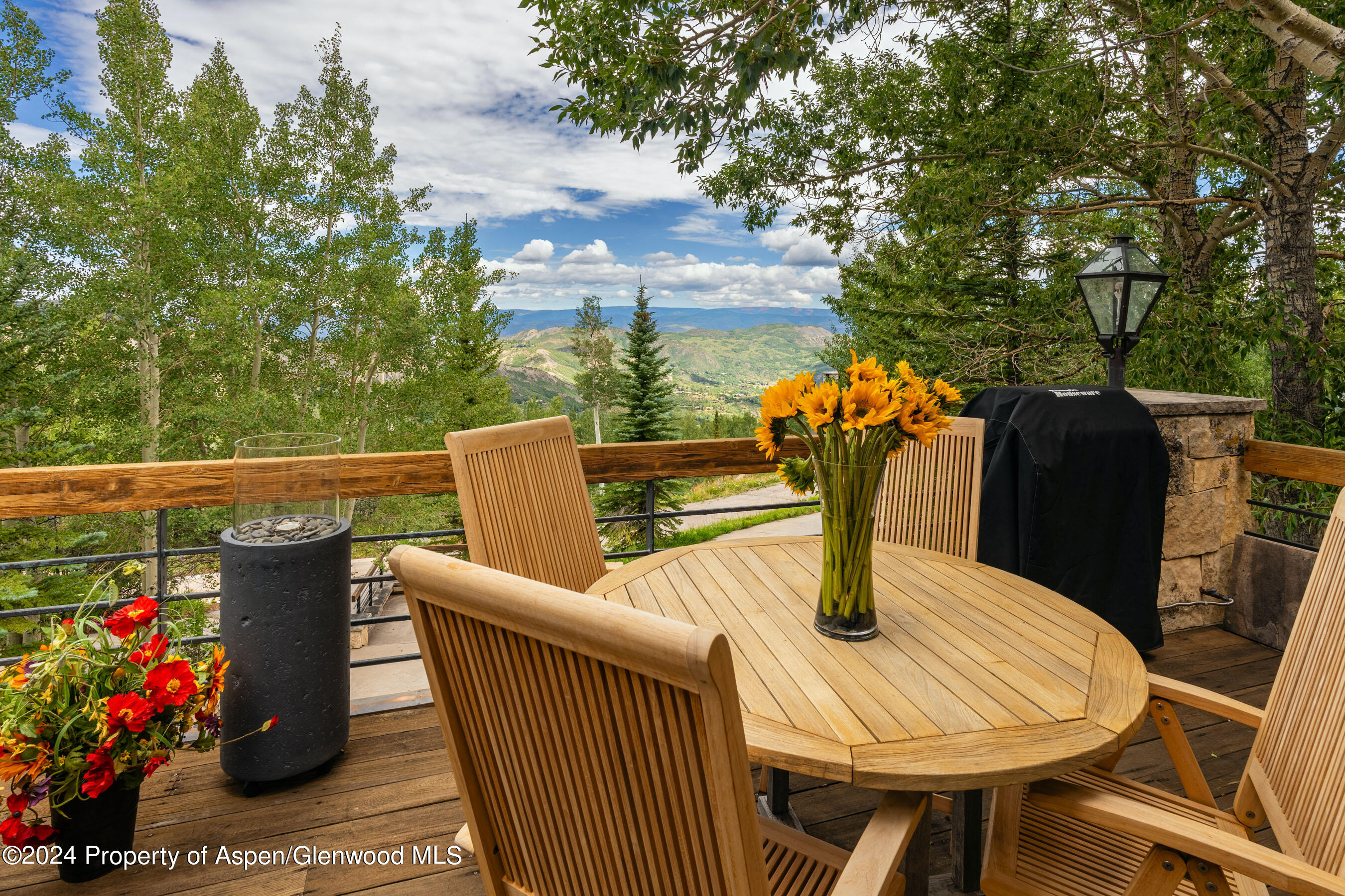 85 Baby Doe Lane Snowmass Village CO 81615