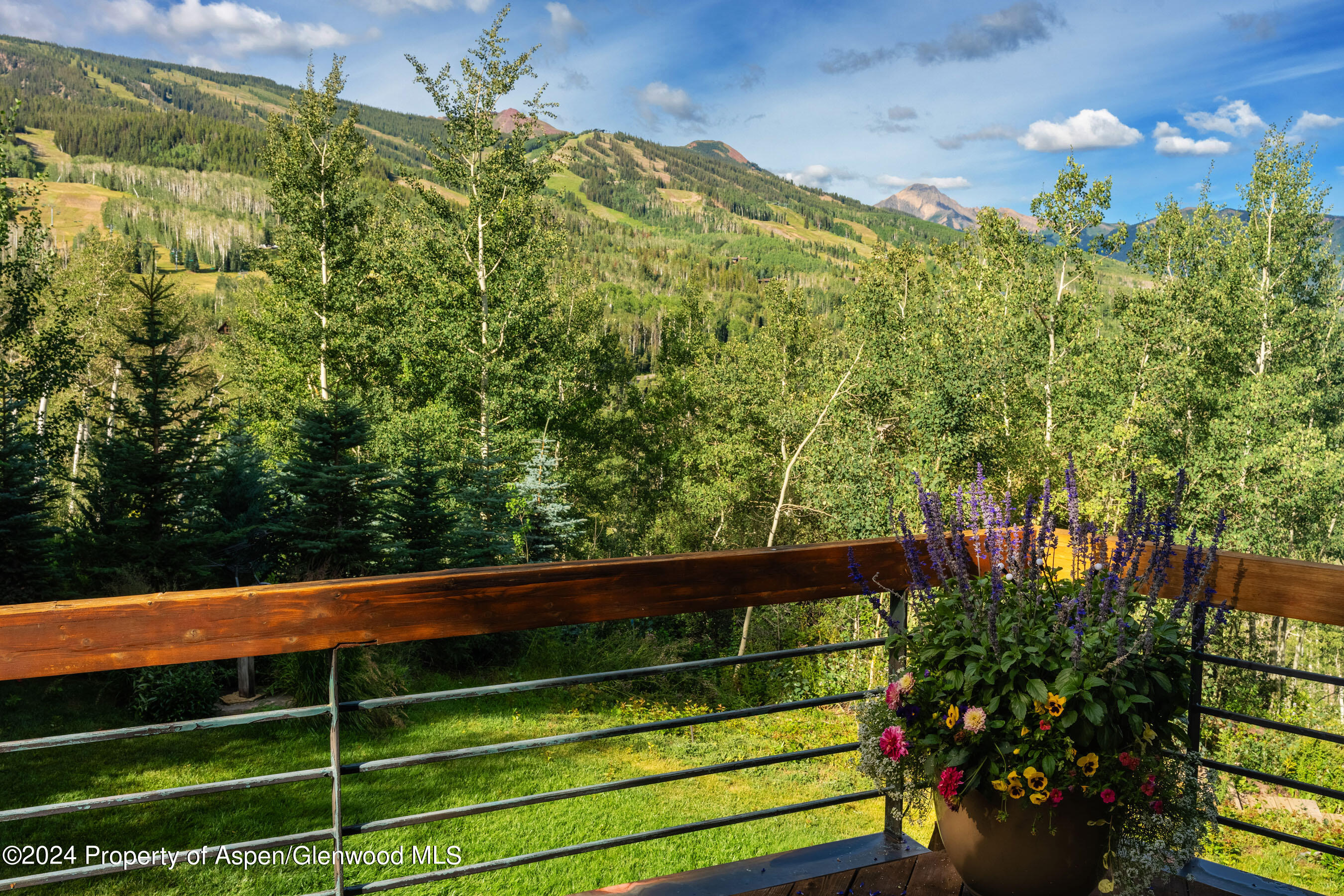 85 Baby Doe Lane Snowmass Village CO 81615