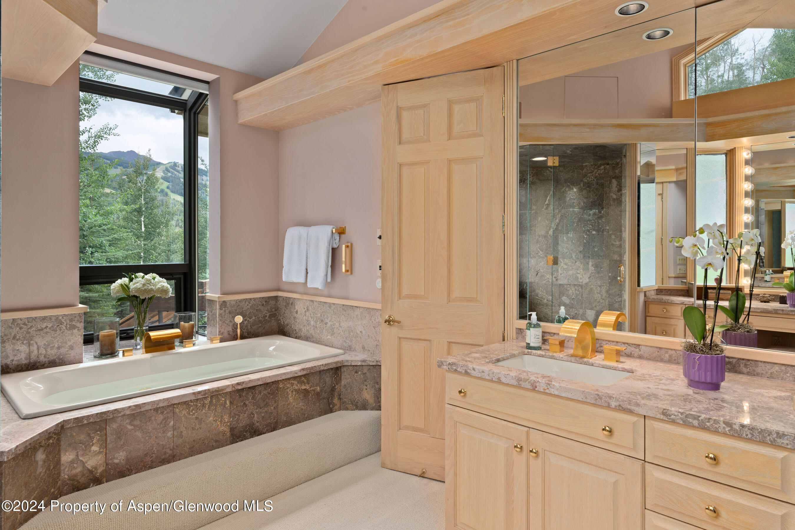 85 Baby Doe Lane Snowmass Village CO 81615