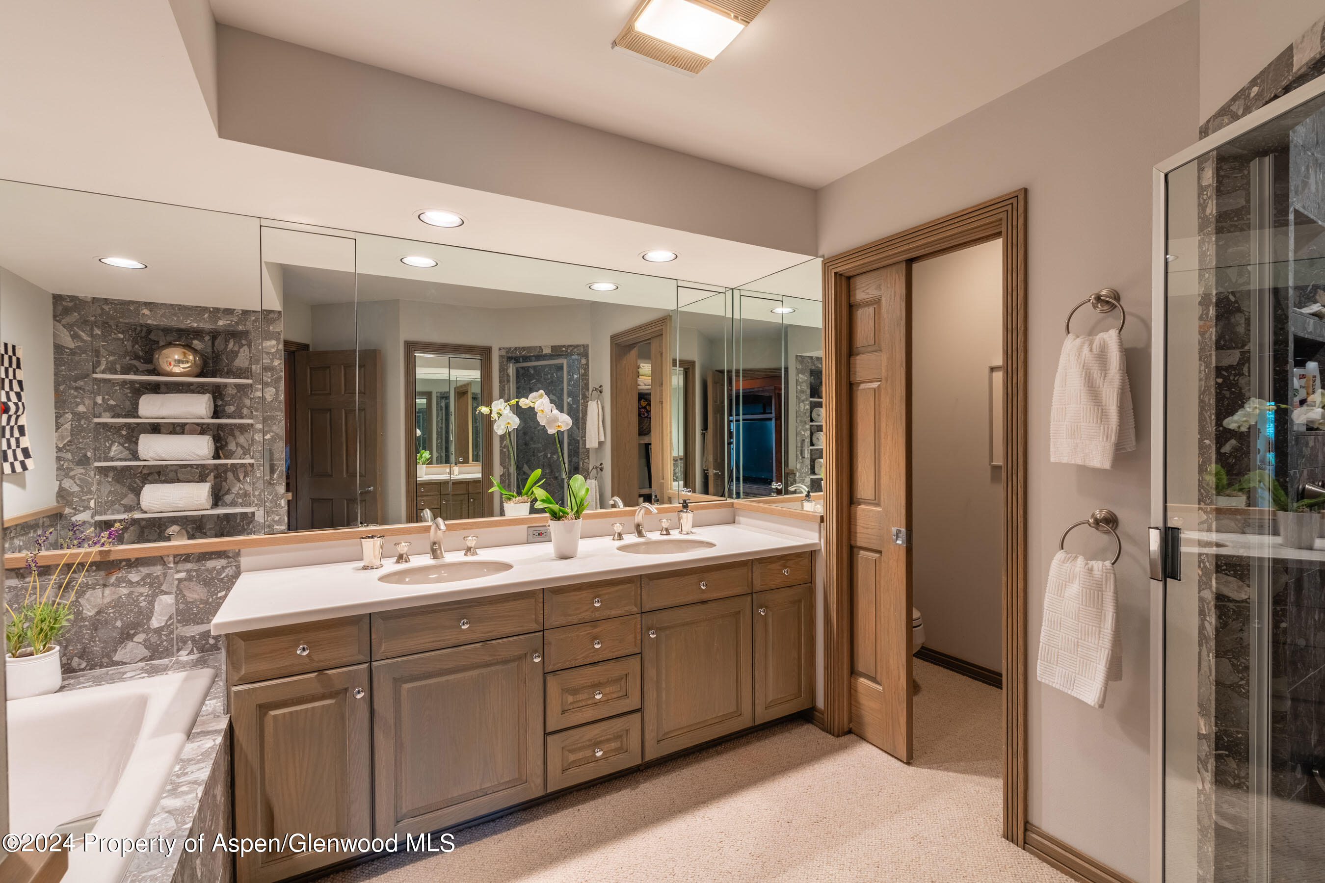 85 Baby Doe Lane Snowmass Village CO 81615