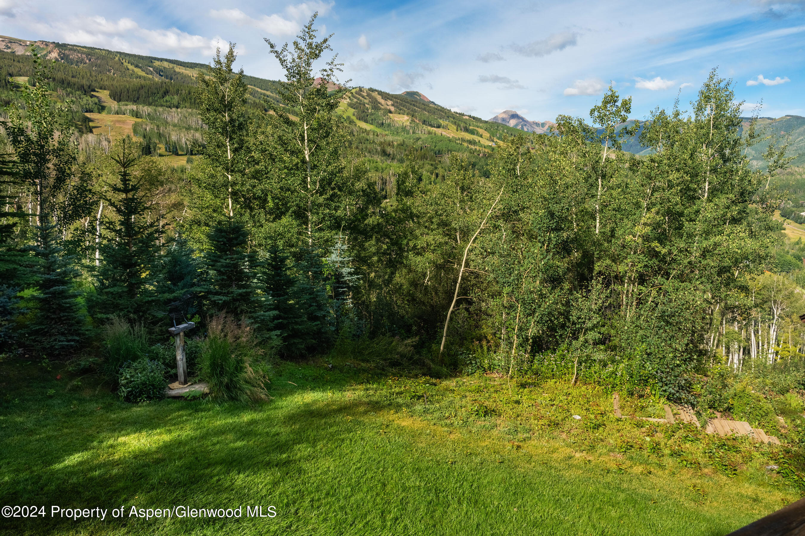 85 Baby Doe Lane Snowmass Village CO 81615
