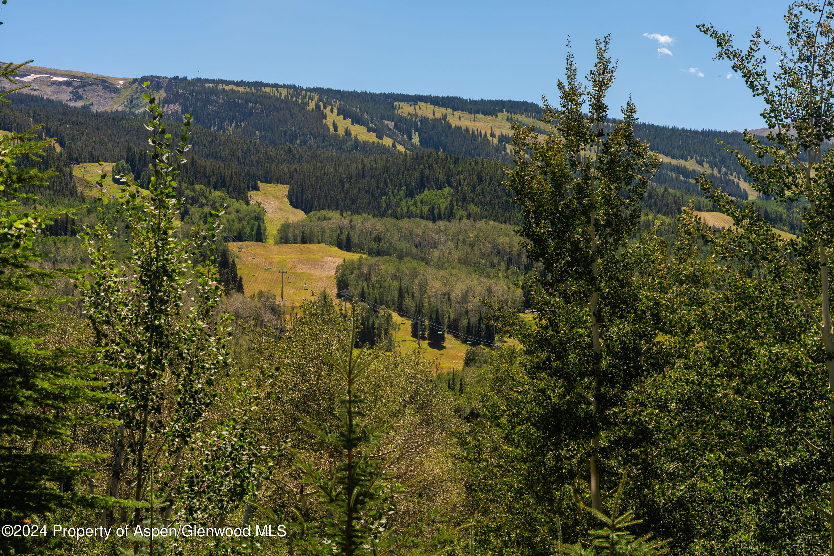 85 Baby Doe Lane Snowmass Village CO 81615