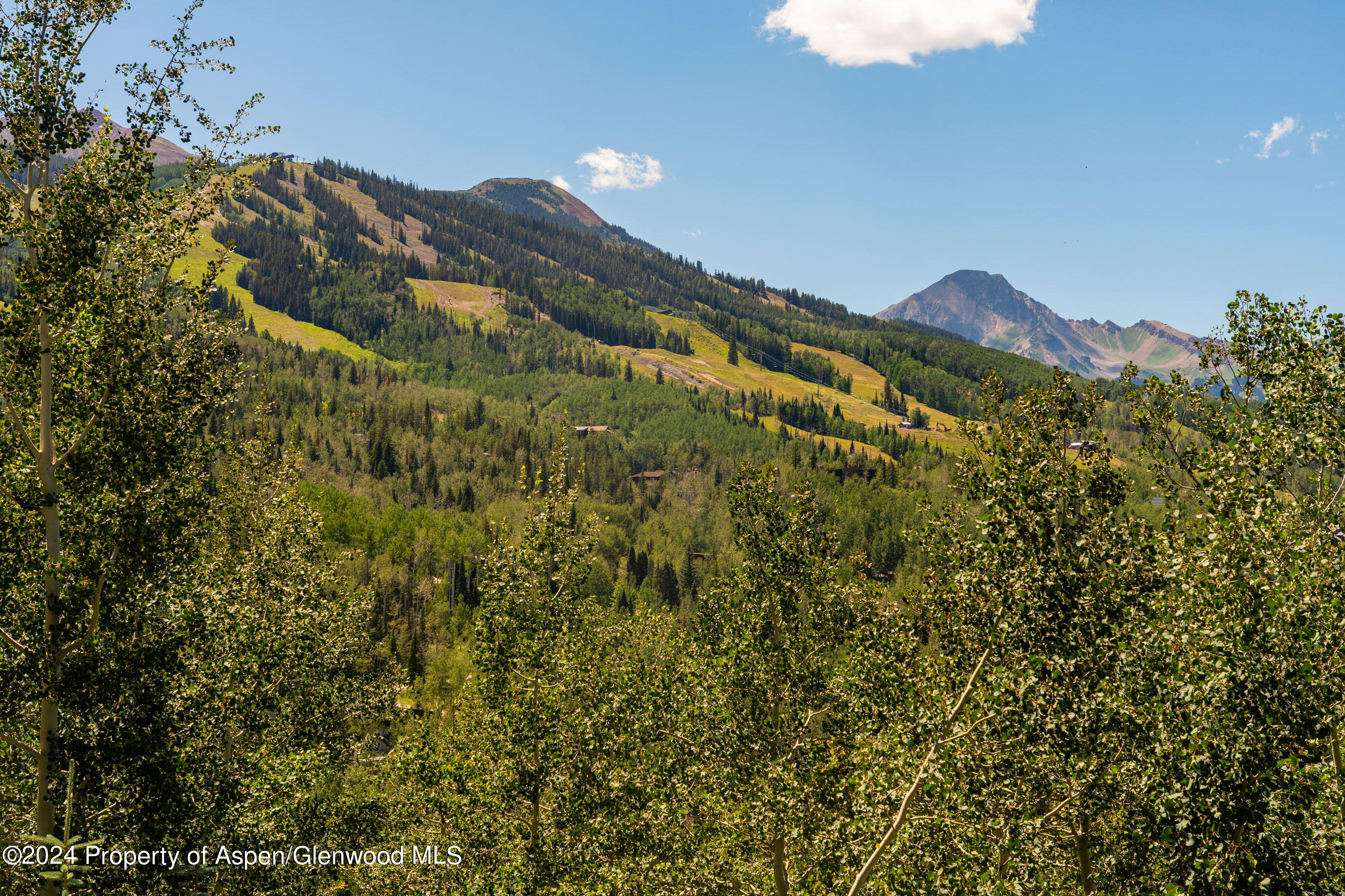 85 Baby Doe Lane Snowmass Village CO 81615