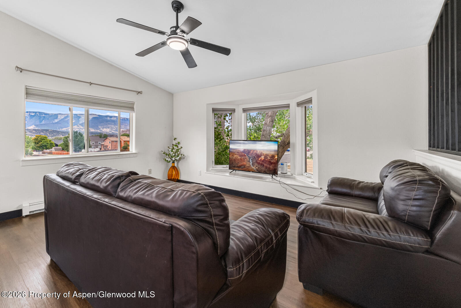 1592 Balsam Court Rifle CO 81650