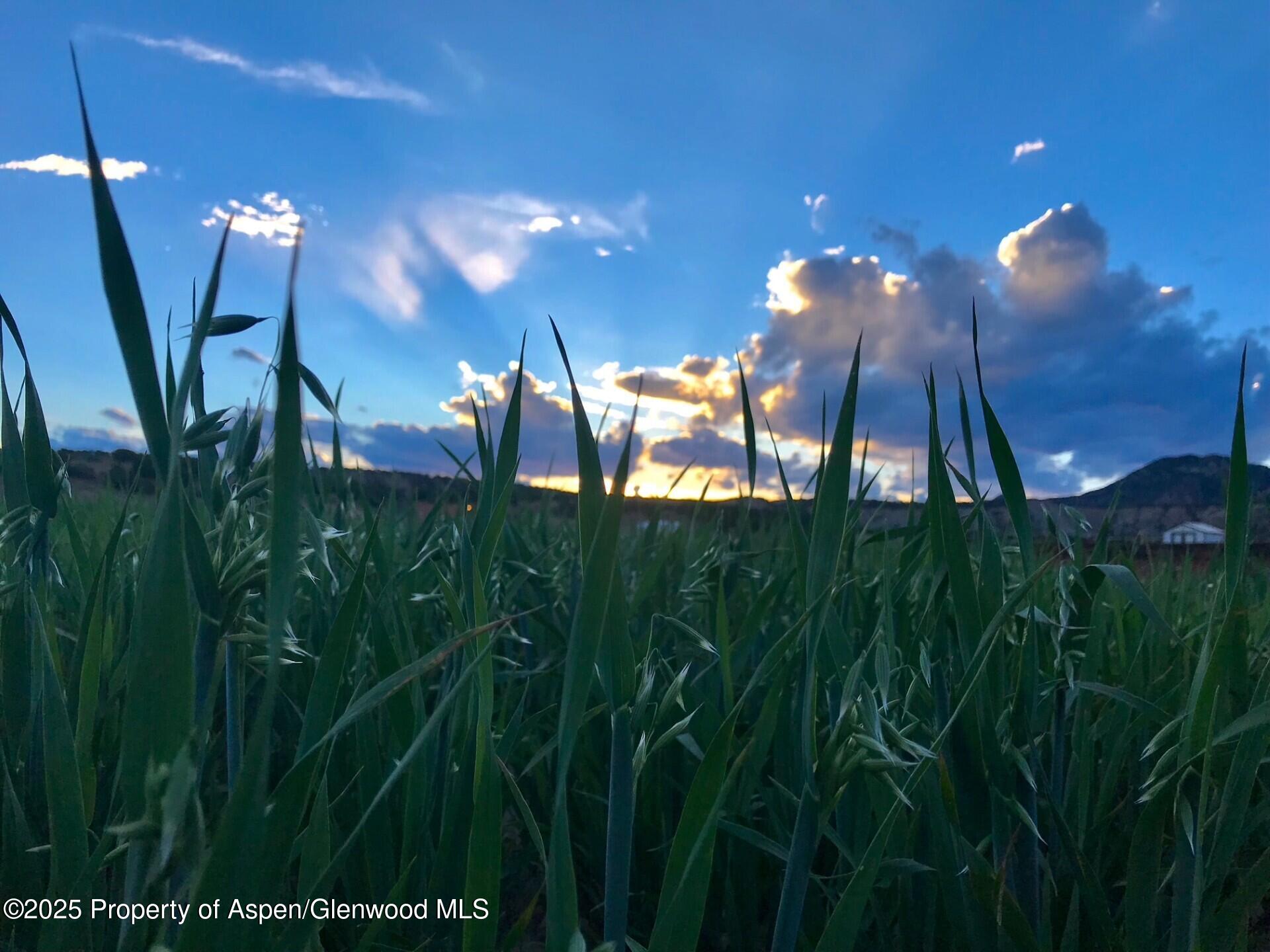 1175 Jewell Lane Rifle CO 81650