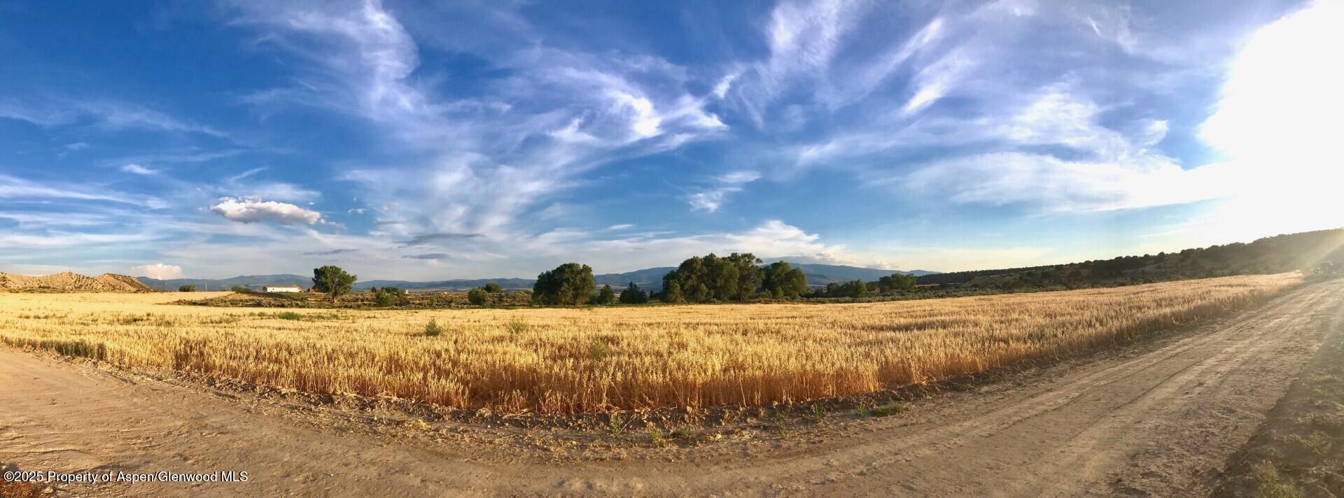 1175 Jewell Lane Rifle CO 81650