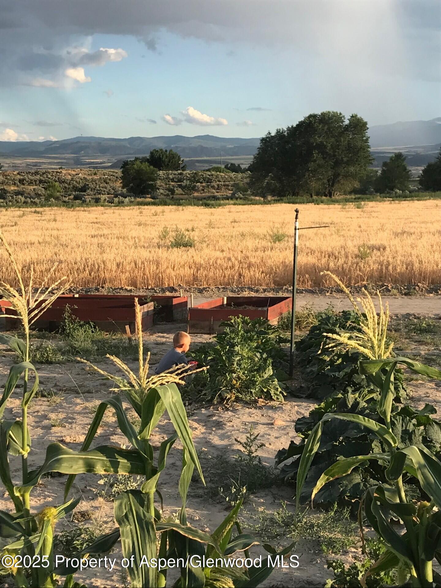 1175 Jewell Lane Rifle CO 81650