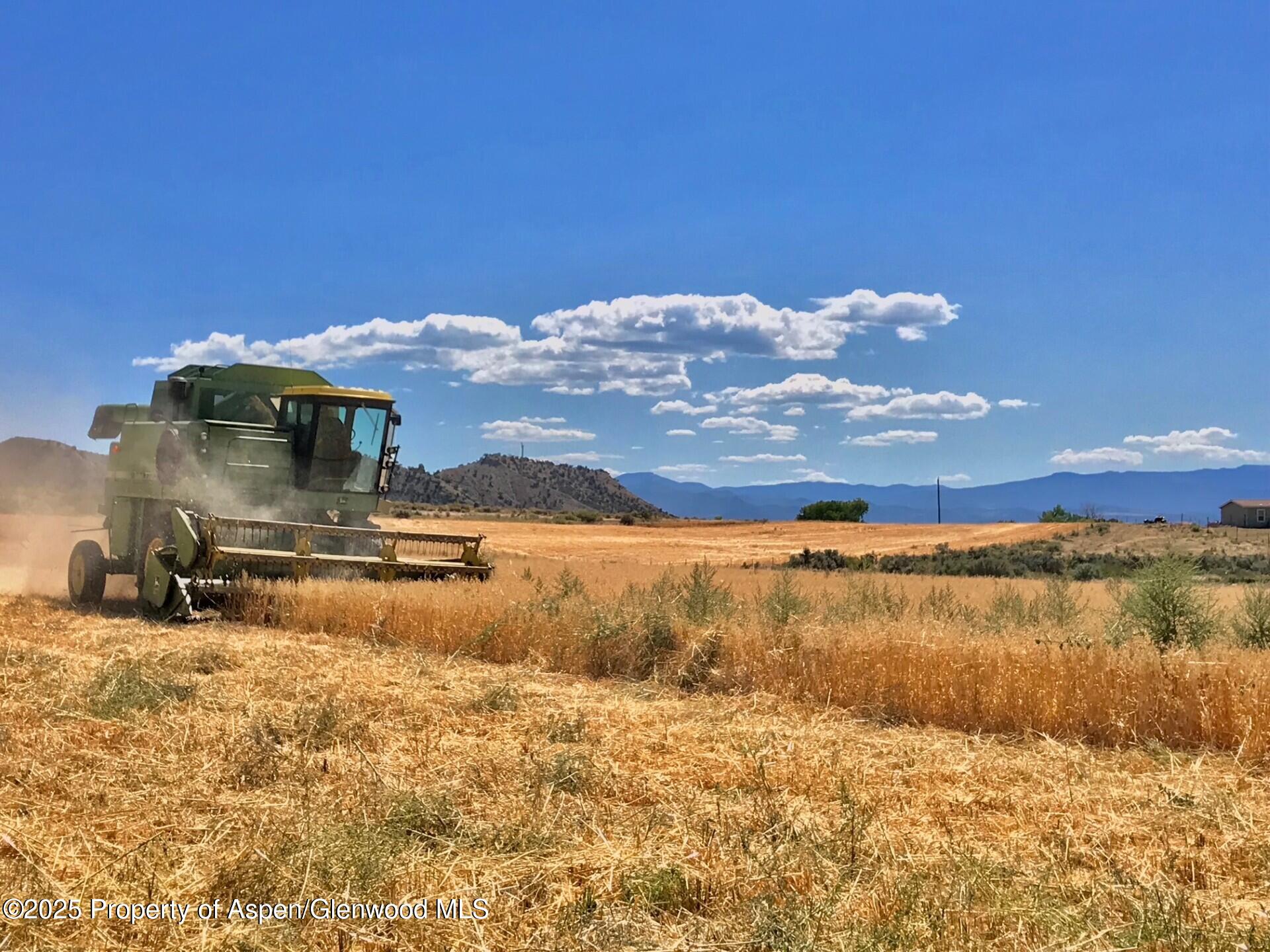 1175 Jewell Lane Rifle CO 81650