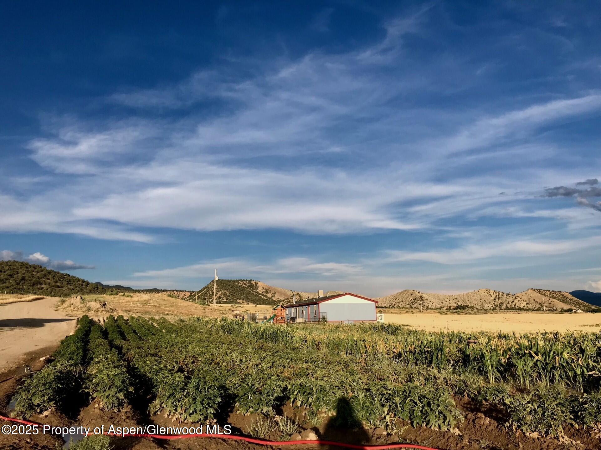 1175 Jewell Lane Rifle CO 81650